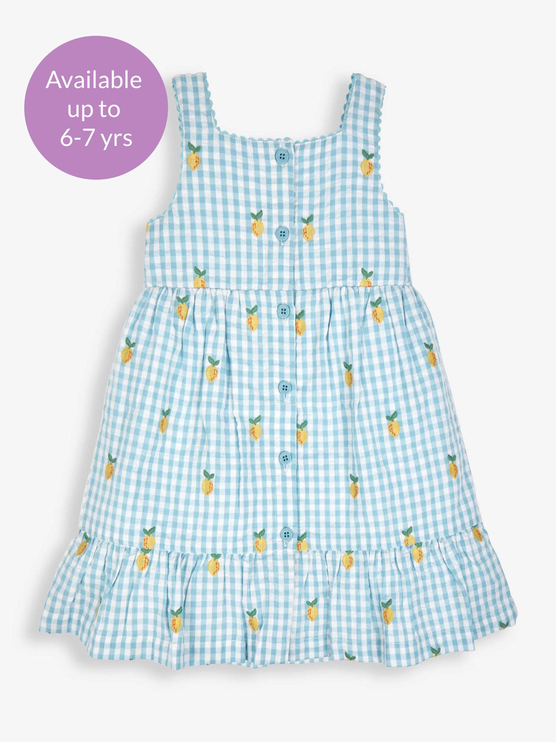 Duck Egg Gingham Lemon Embroidered Frill Dress - Image 5 of 6