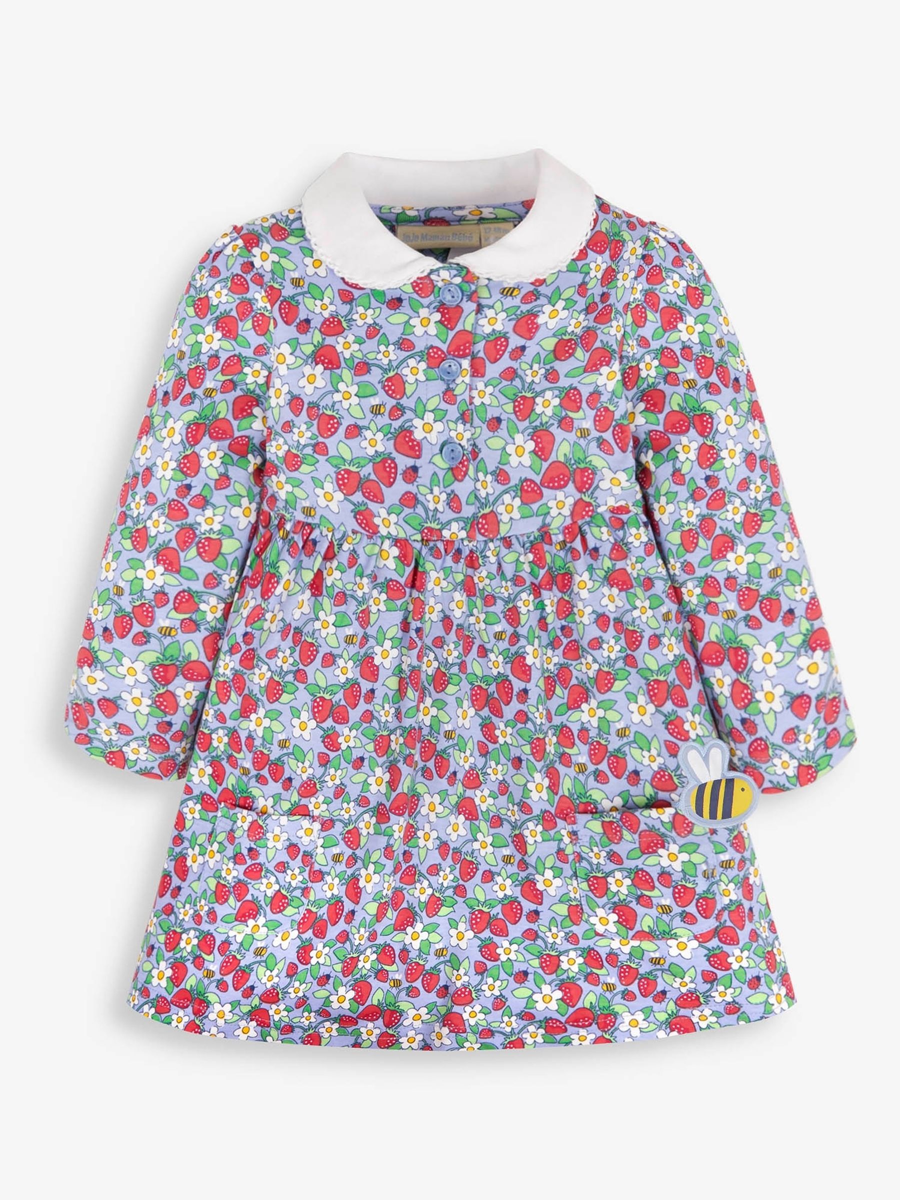 Blue Strawberry Print With Pet In Pocket Peter Pan Dress - Image 1 of 4