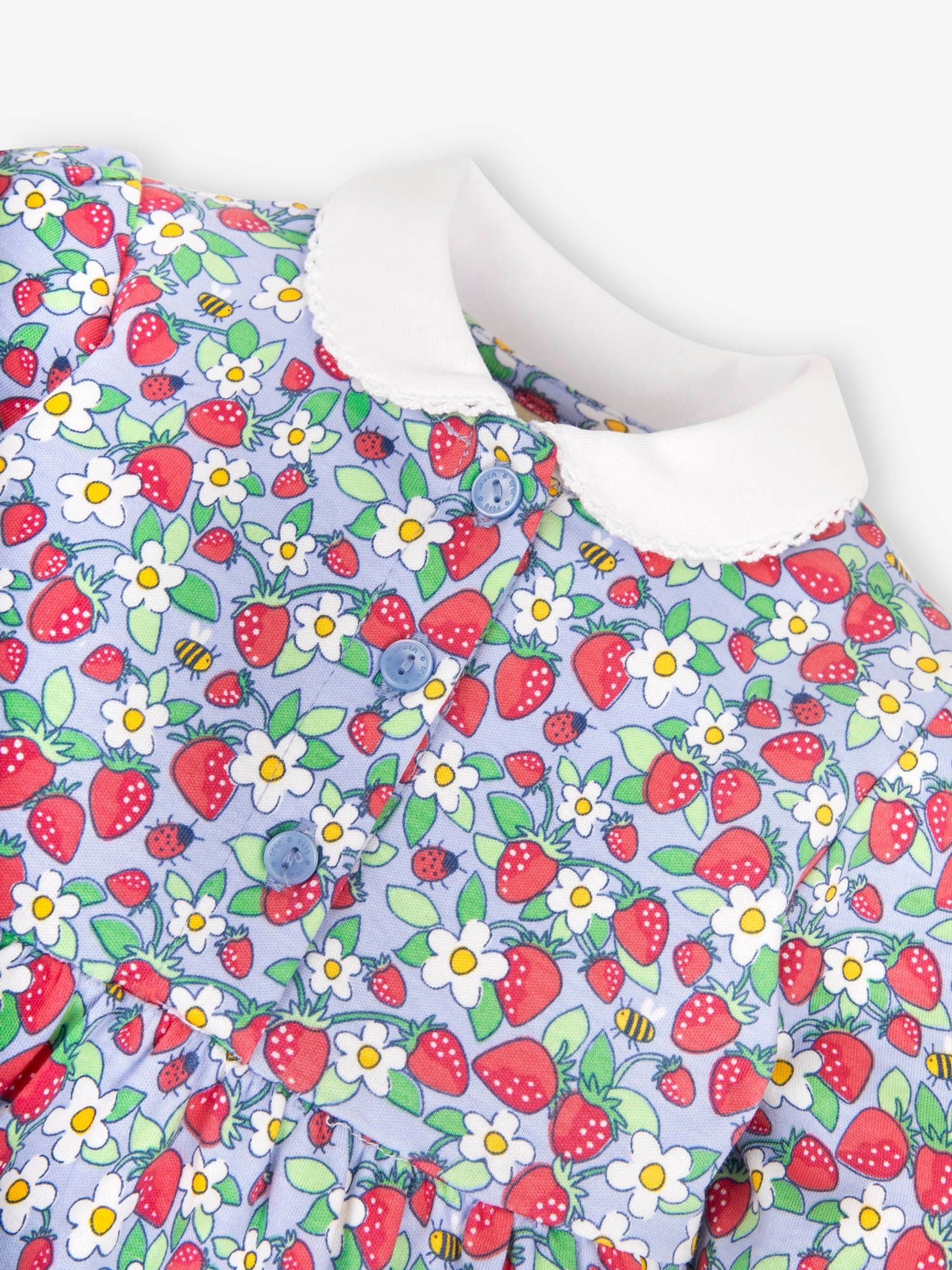 Blue Strawberry Print With Pet In Pocket Peter Pan Dress - Image 3 of 4