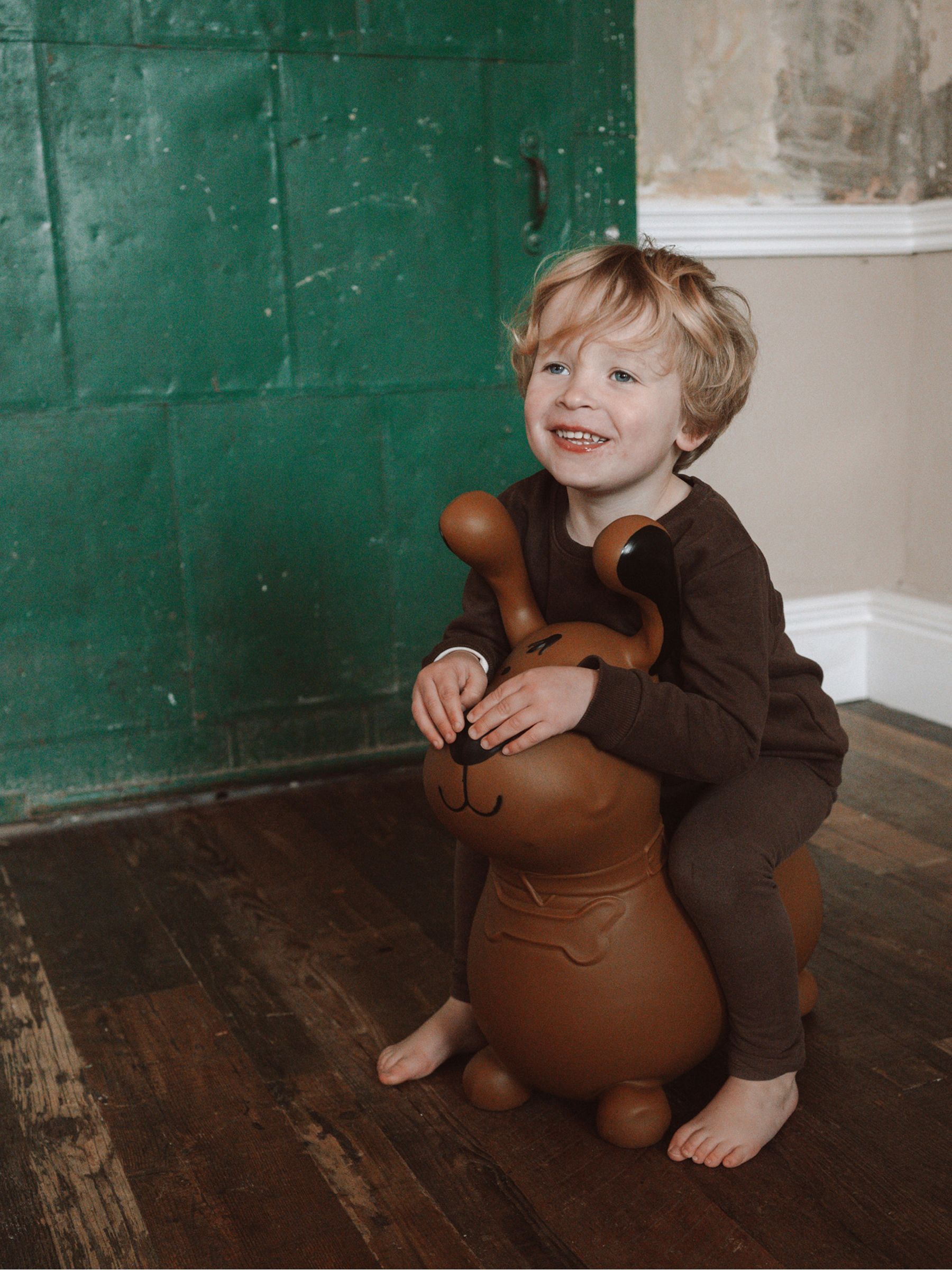 HappyHopperz - Dog - Image 5 of 5