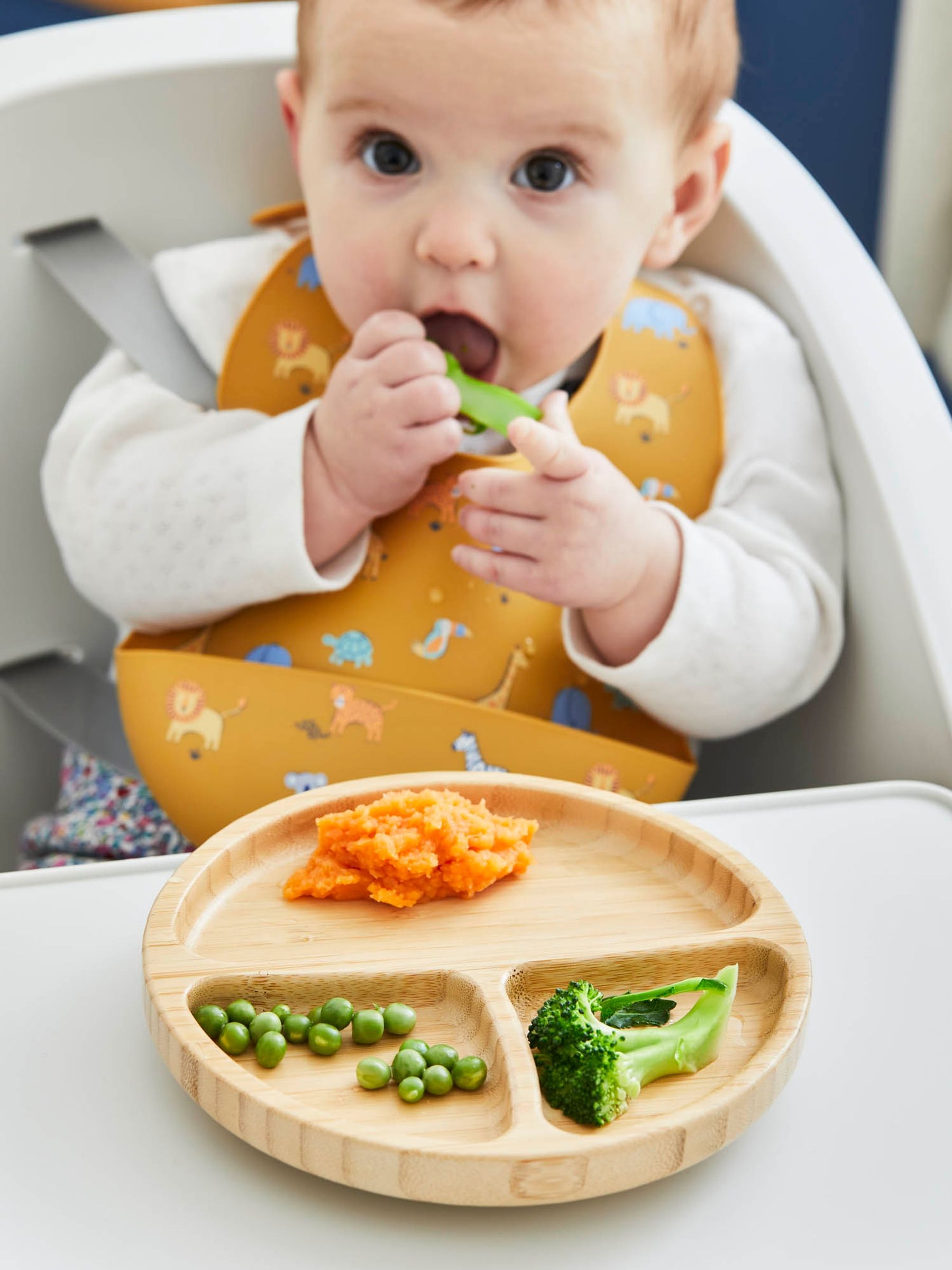 Bamboo Suction Divided Plate - Image 1 of 4