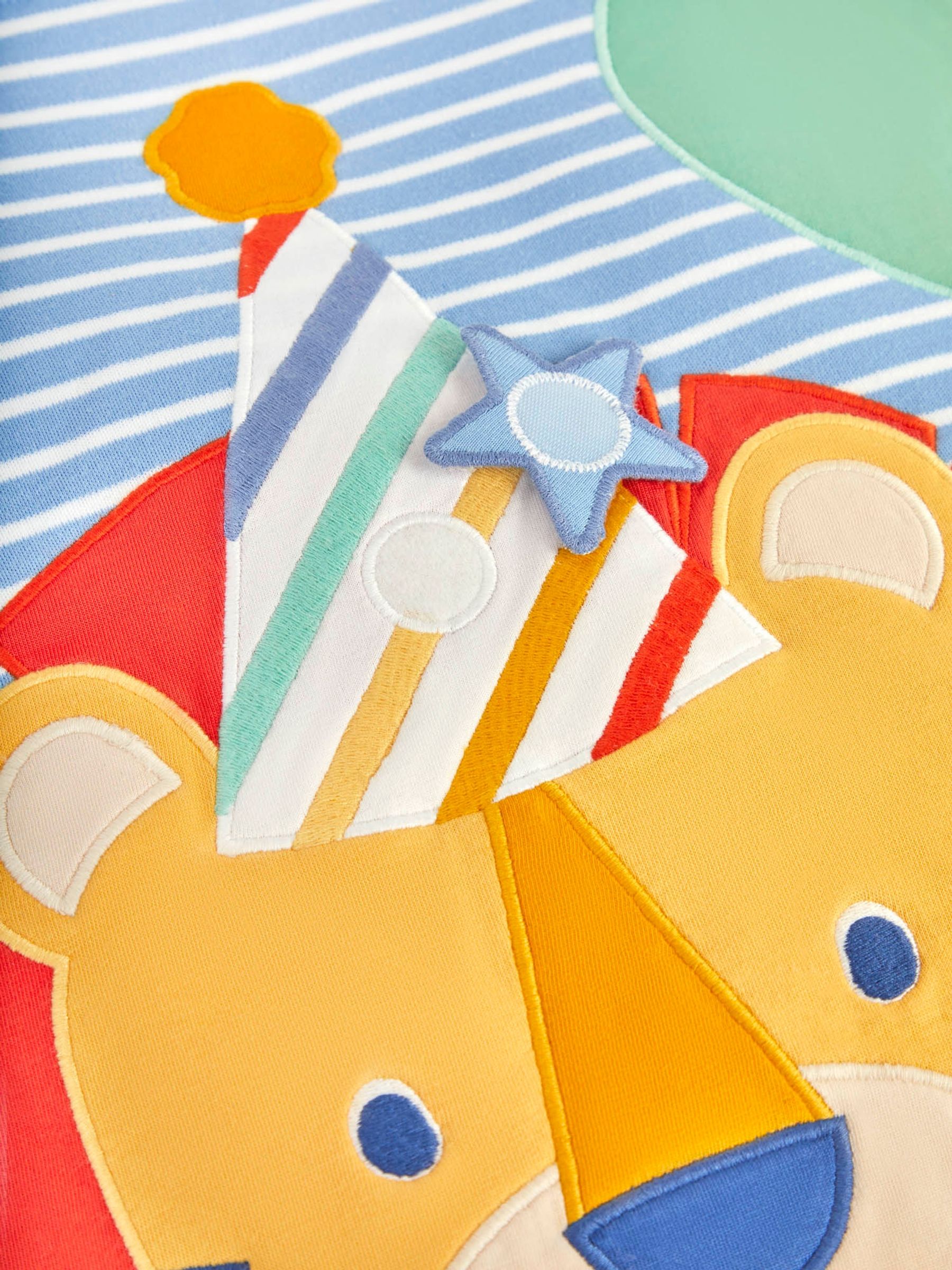 Lion Birthday Present Sack - Image 3 of 4