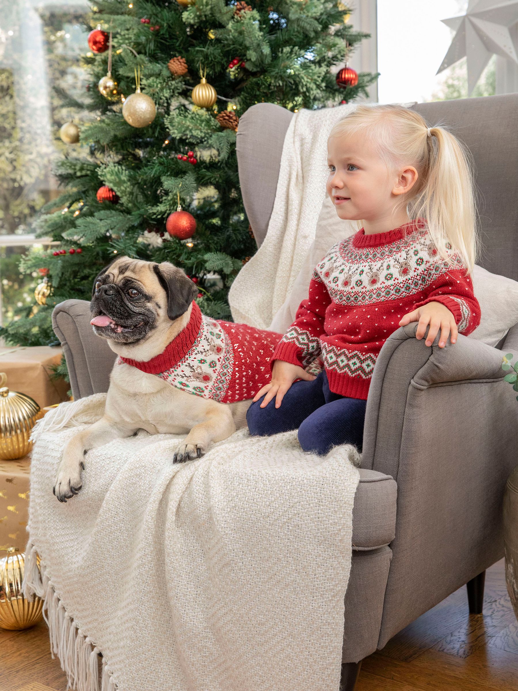 Red Reindeer Fair Isle Pets Jumper - Image 3 of 3