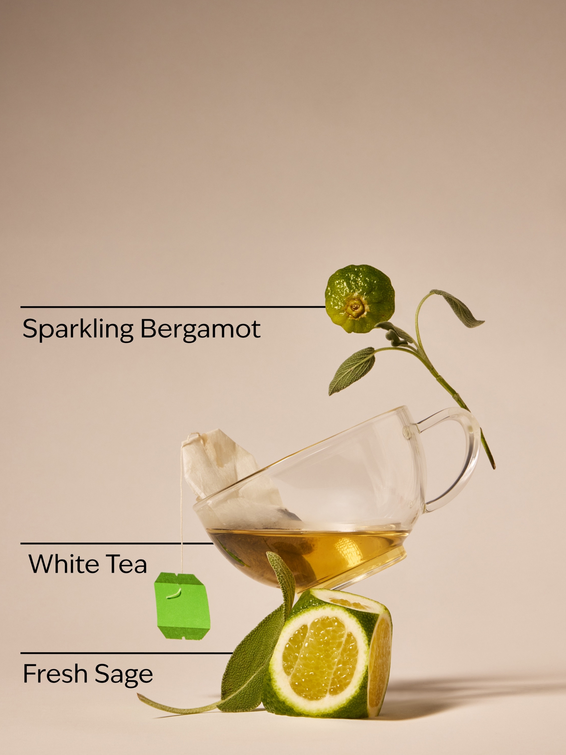 White Tea and Sage Cleansing Gel Hand Soap 266ml - Image 4 of 4 White Tea and Sage Cleansing Gel Hand Soap 266ml - Image 4 of 4