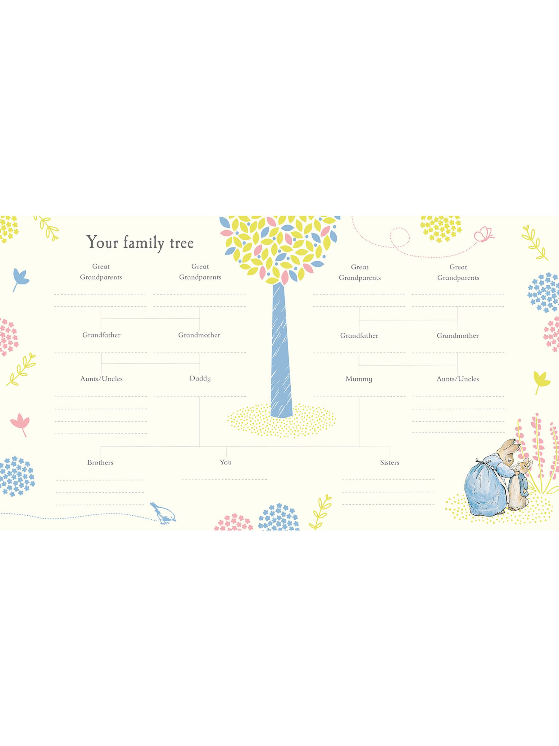 Peter Rabbit Baby Record Book - Image 1 of 2