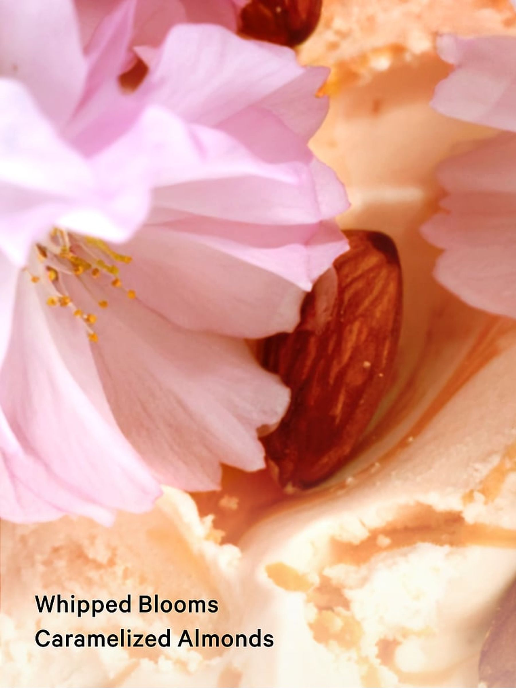 Velvet Petals Body Lotion 236ml - Image 3 of 3