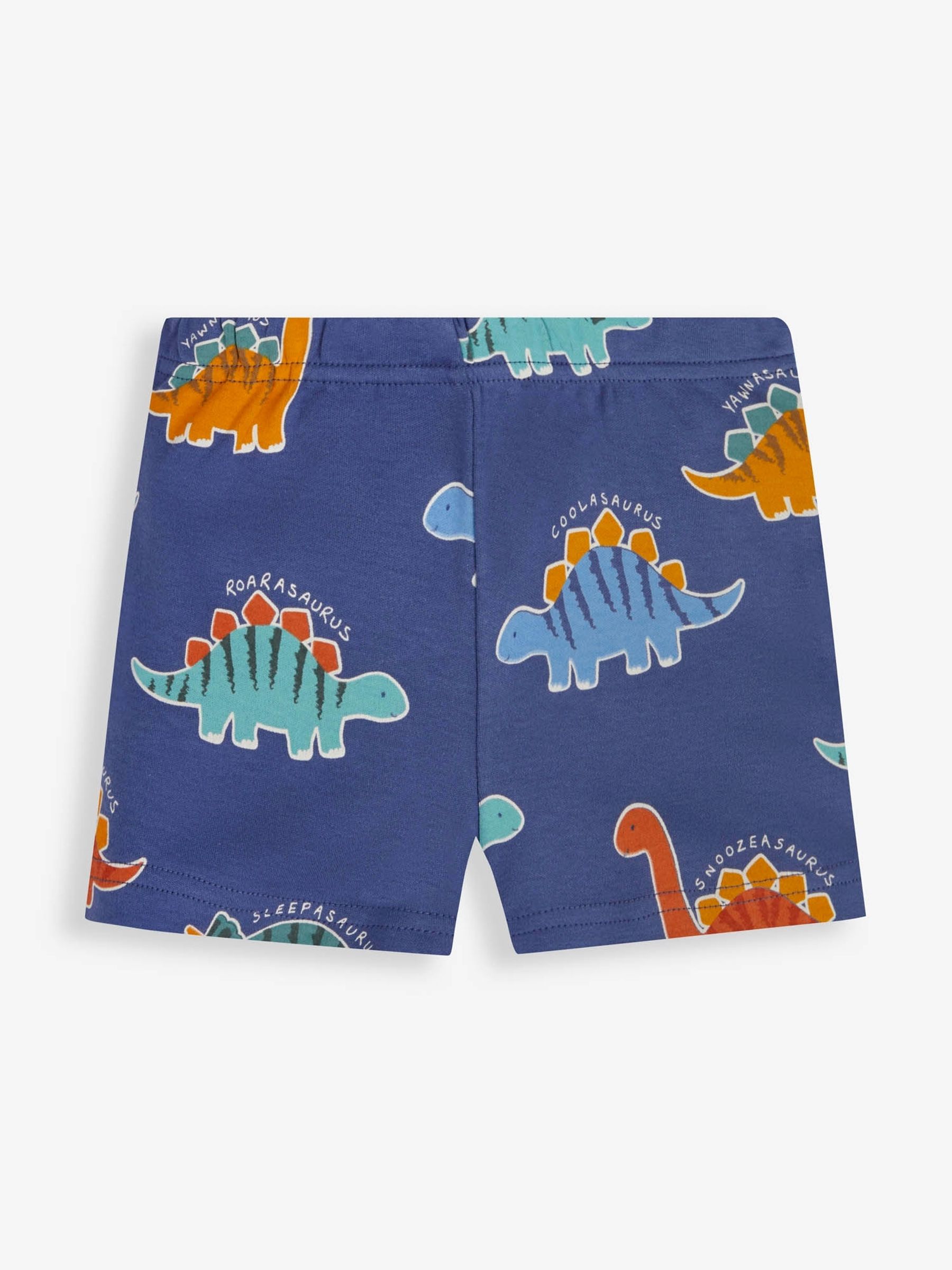 Denim Boys' 2-Pack Dinosaur Jersey Pyjamas - Image 8 of 11
