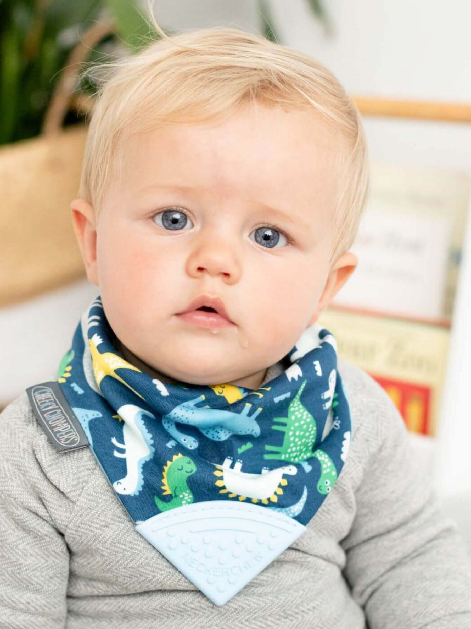 Cheeky Chompers Neckerchew Bib Dinosaur Print - Image 1 of 3