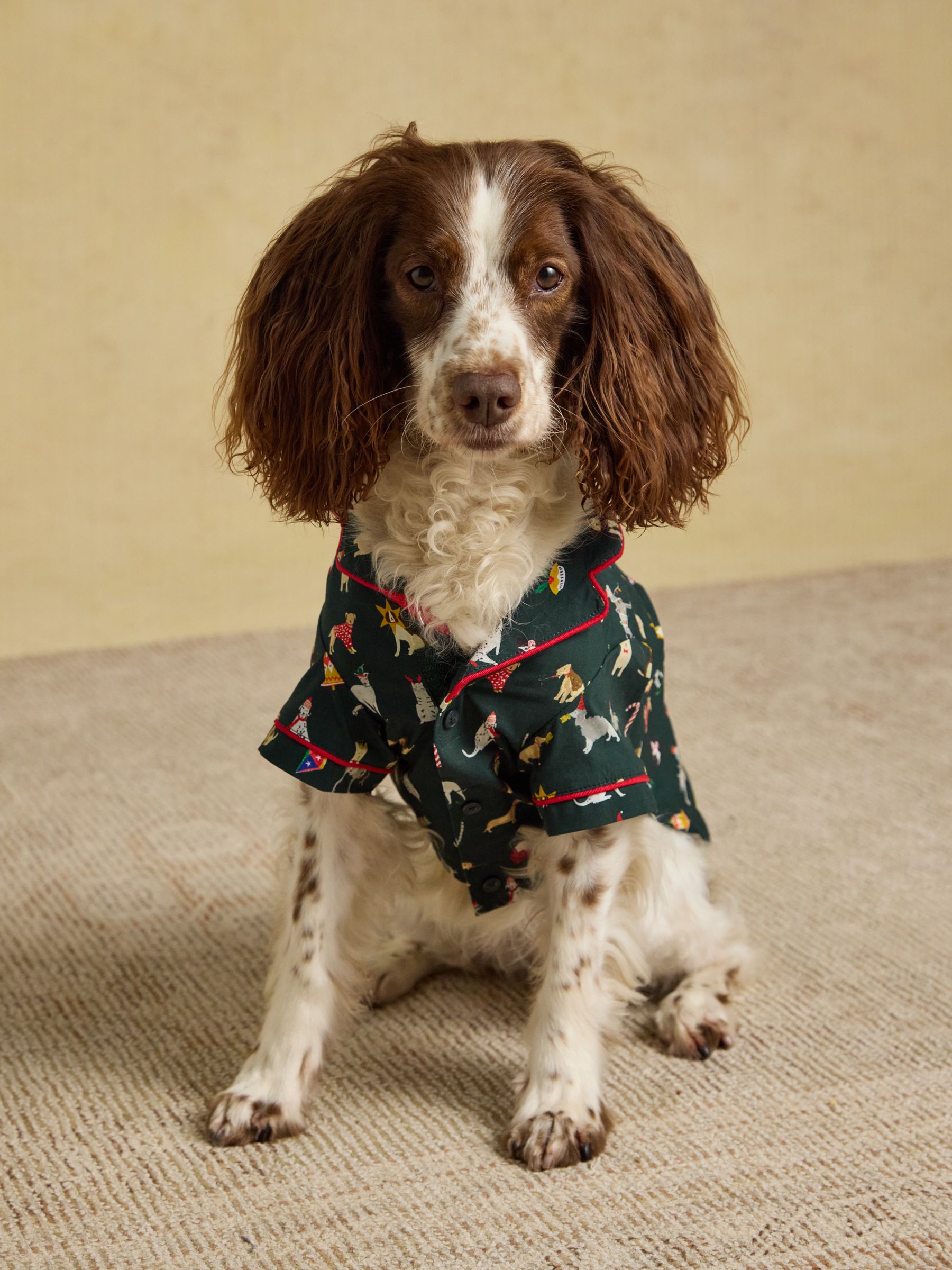 Green Festive Dog Pyjamas - Image 2 of 5 Green Festive Dog Pyjamas - Image 2 of 5