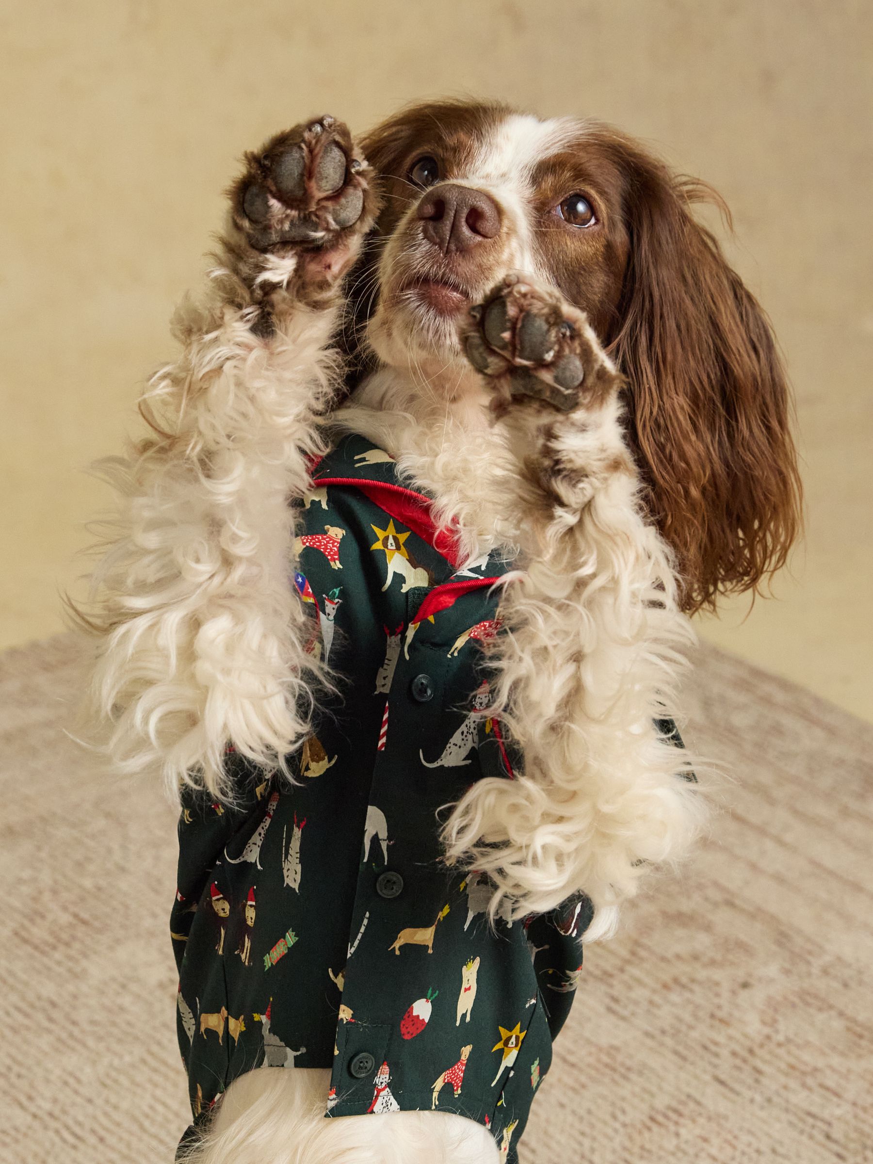 Green Festive Dog Pyjamas - Image 3 of 5