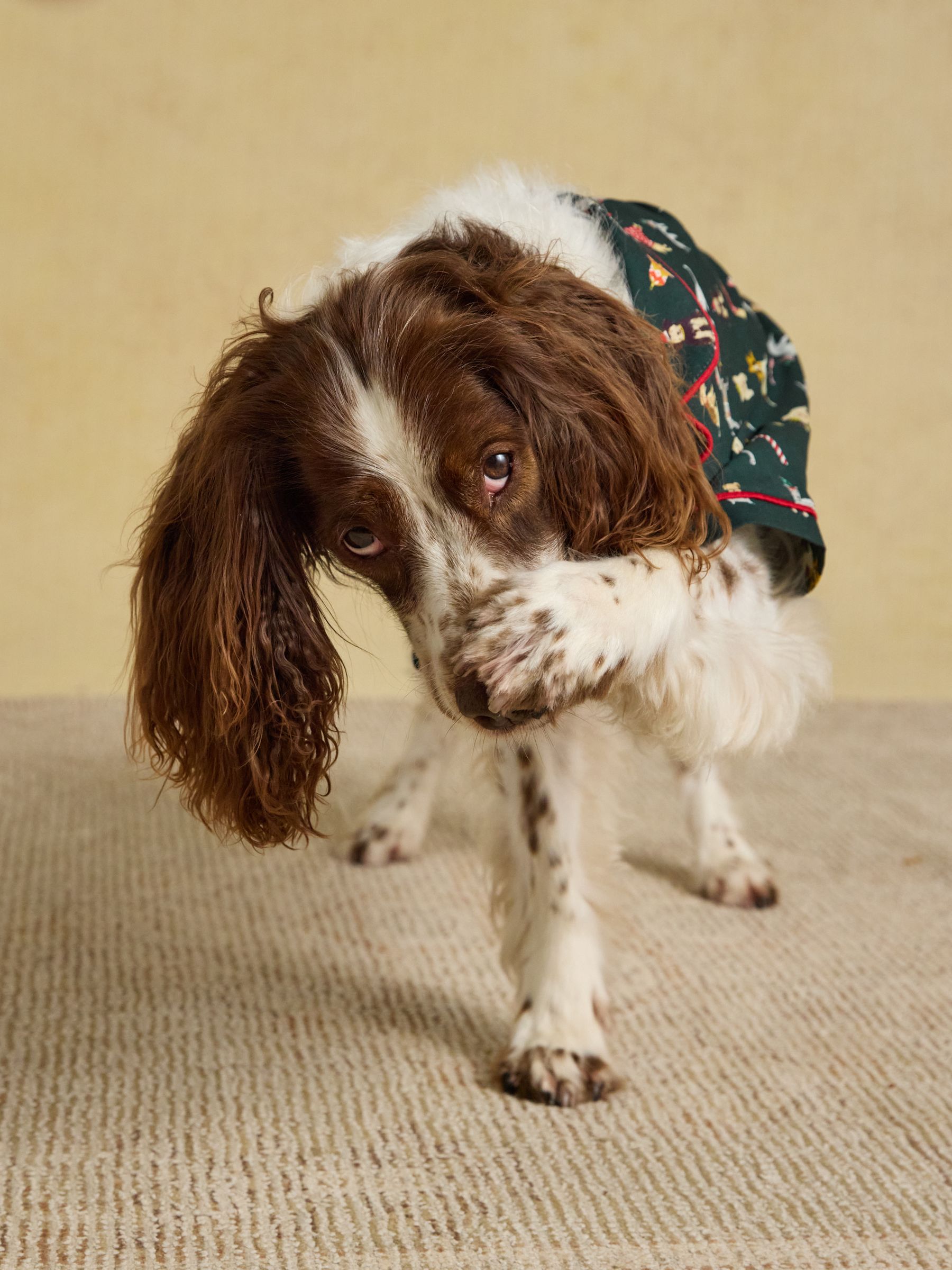 Green Festive Dog Pyjamas - Image 5 of 5 Green Festive Dog Pyjamas - Image 5 of 5