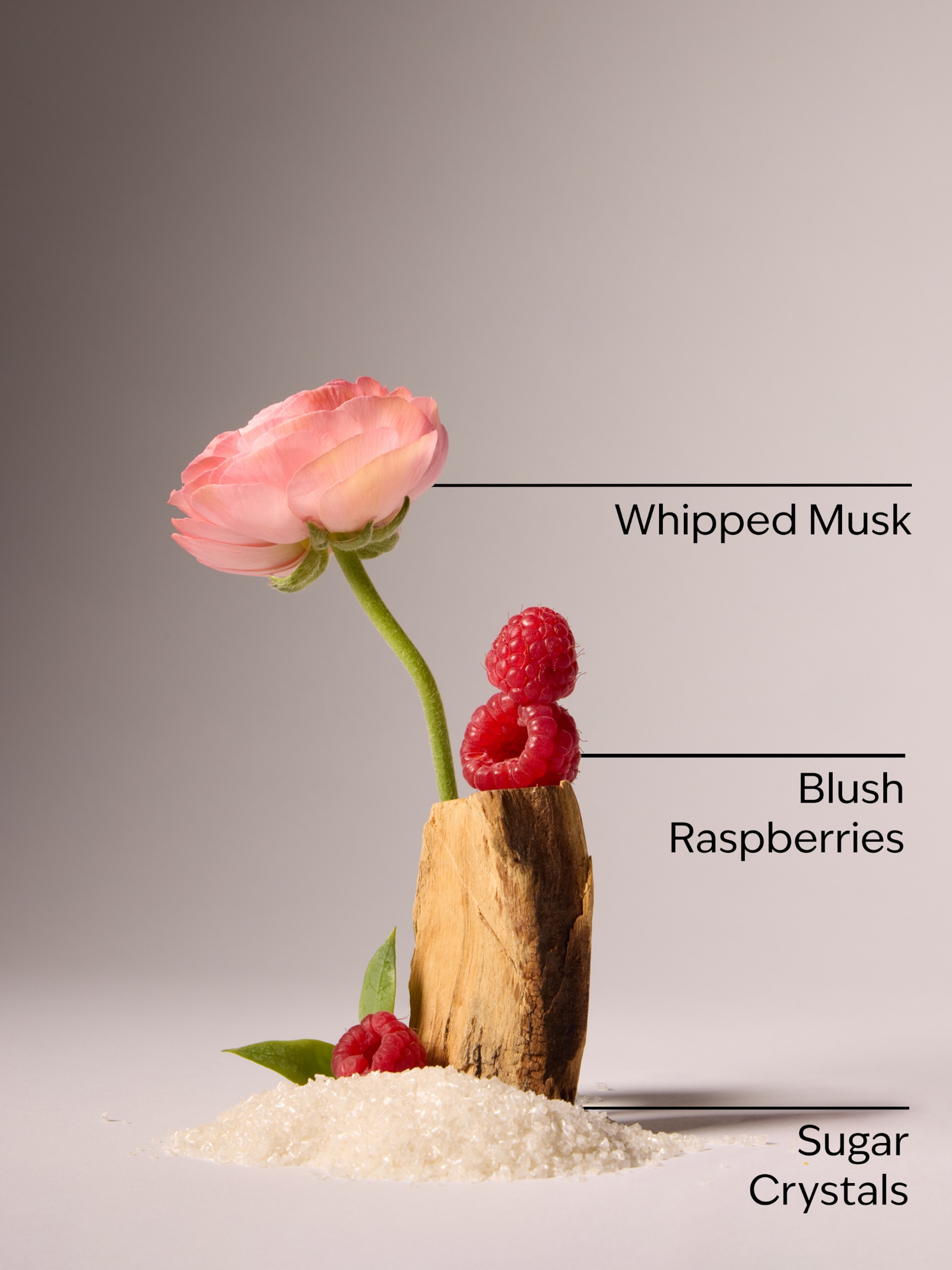 Sweetest Song Gift Set ( Worth over £60) - Image 3 of 3