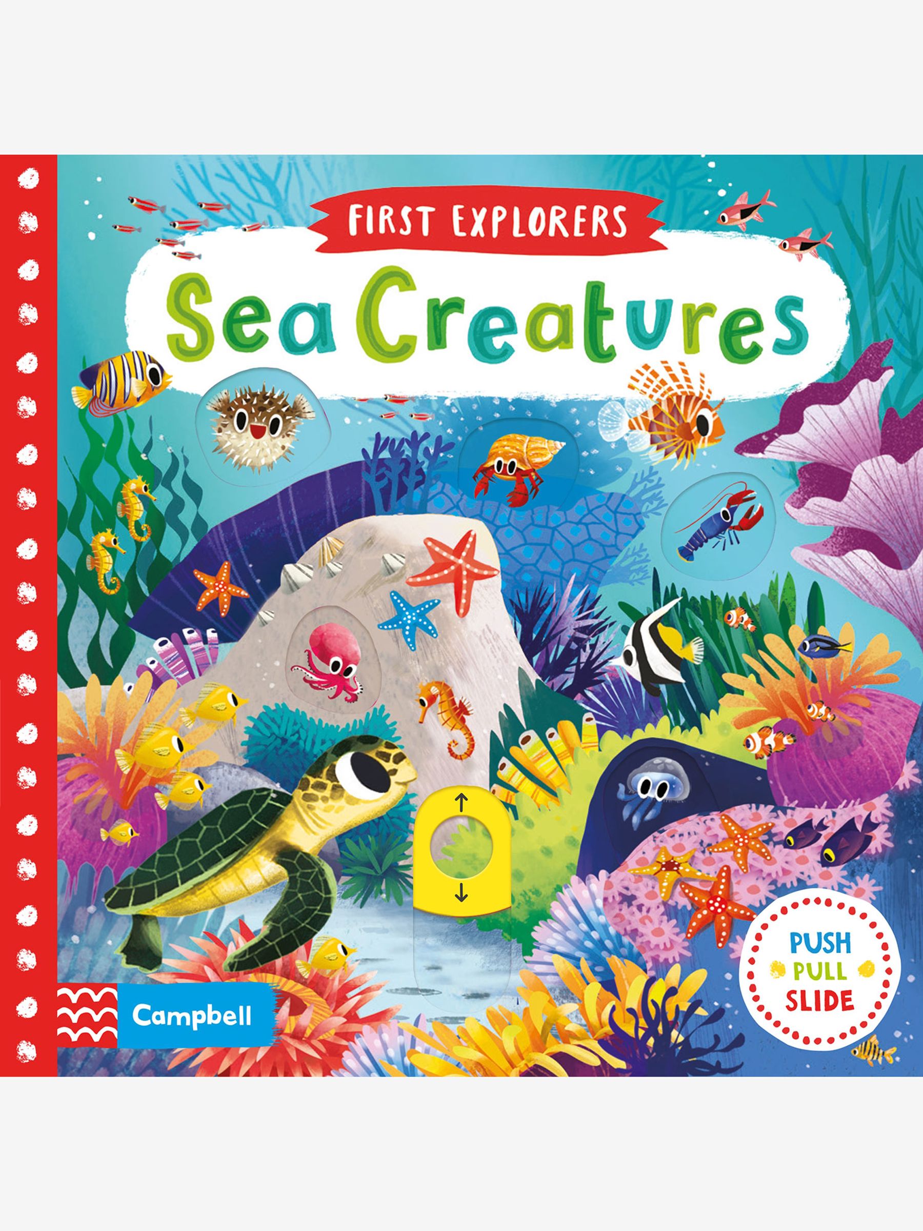First Explorers Sea Creatures Book - Image 1 of 1