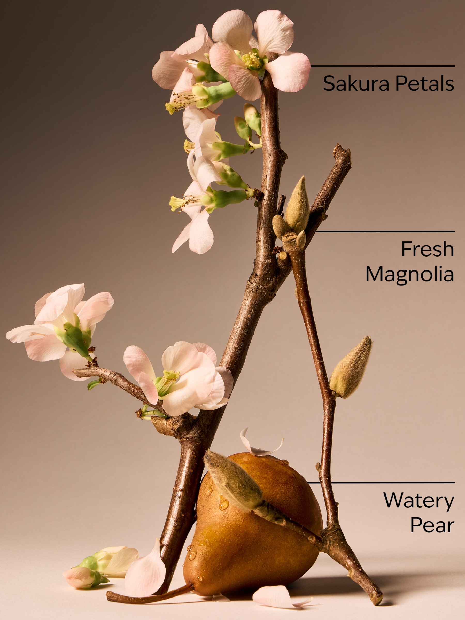 Forever Cherry Blossom Concentrated Room Spray - Image 3 of 3