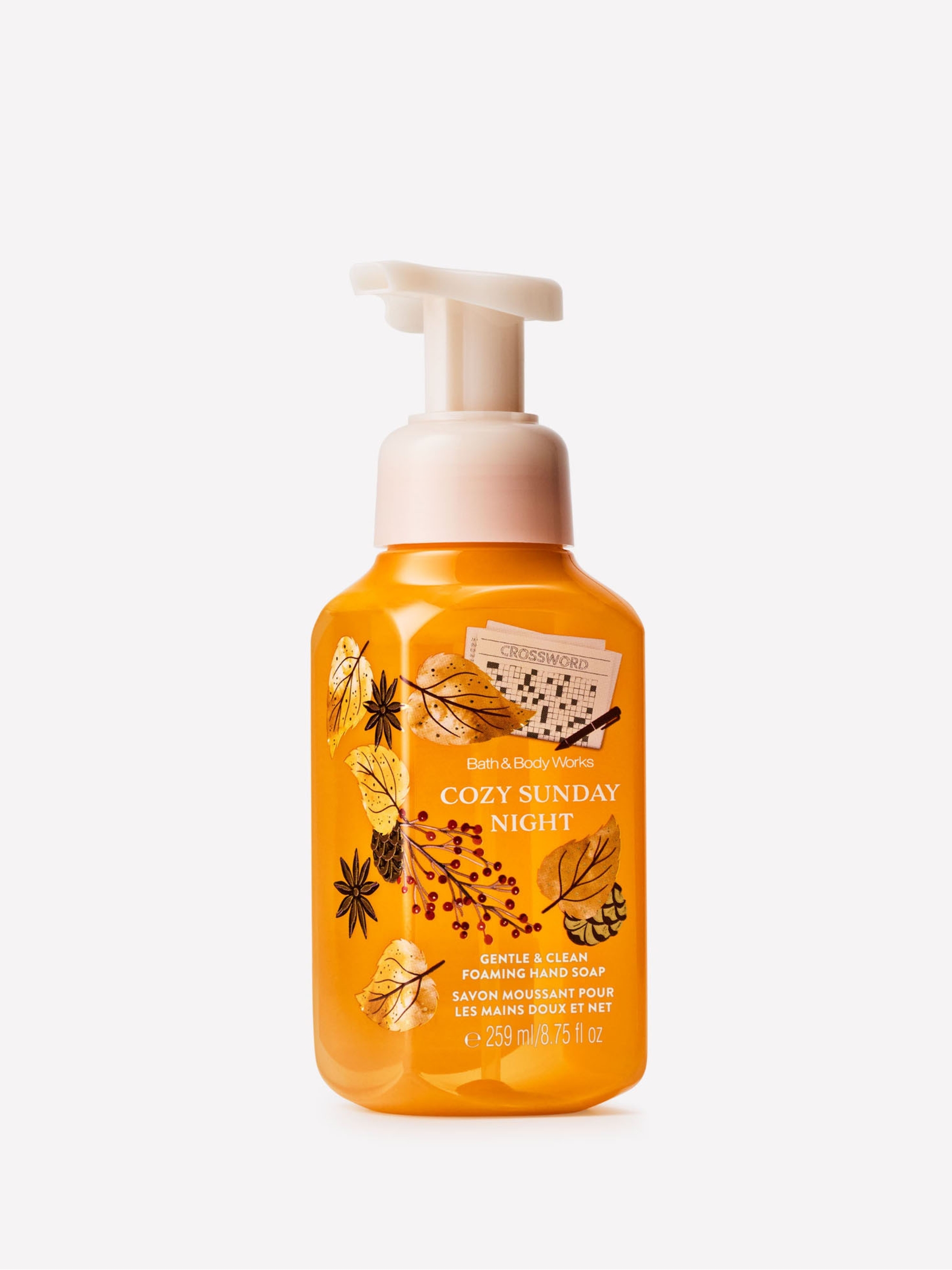 Cozy Sunday Night Gentle & Clean Foaming Hand Soap 259ml - Image 1 of 5