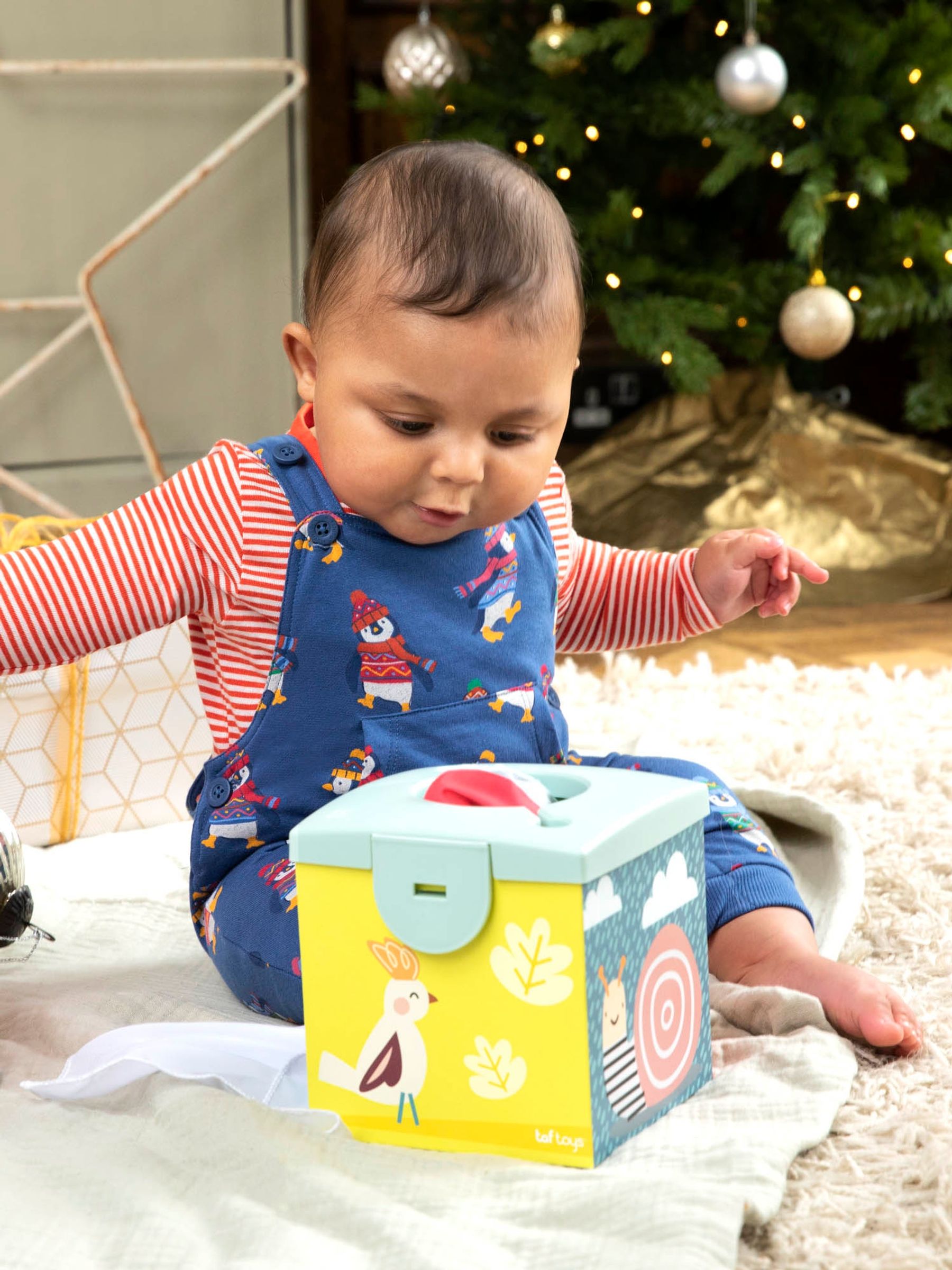 Taf Toys Kimmy Koala Wonder Tissue Box - Image 4 of 4