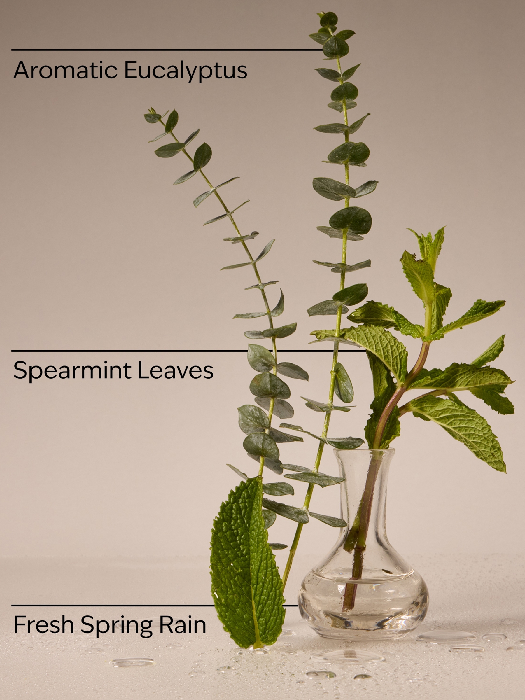 Eucalyptus Rain Concentrated Room Spray - Image 3 of 3