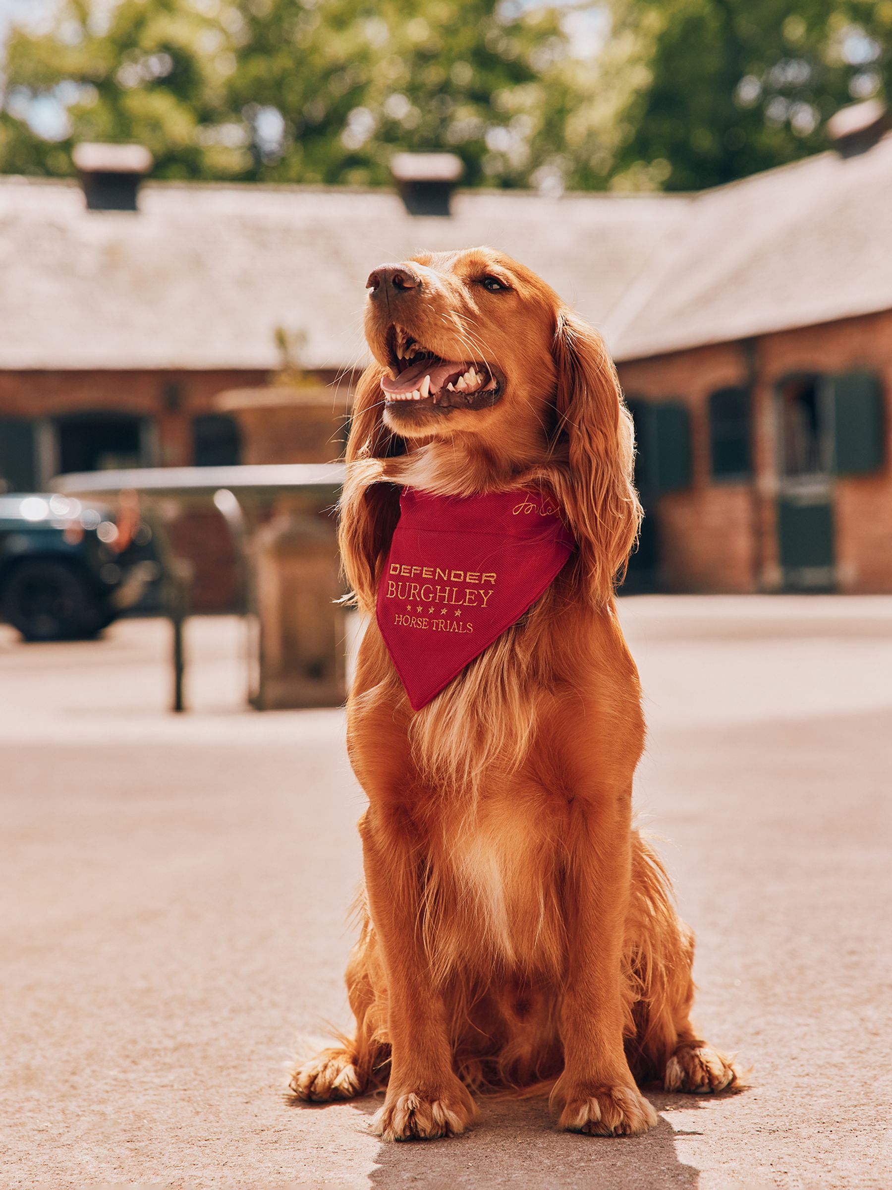 Red Burghley Pet Bandana Joules