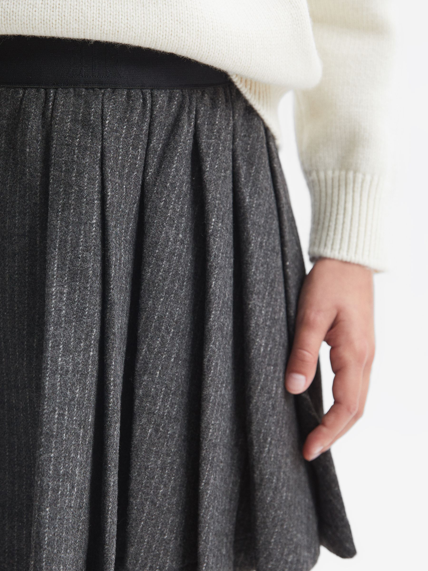 Wool Blend Striped Pleated Skirt in Dark Grey - Image 4 of 6
