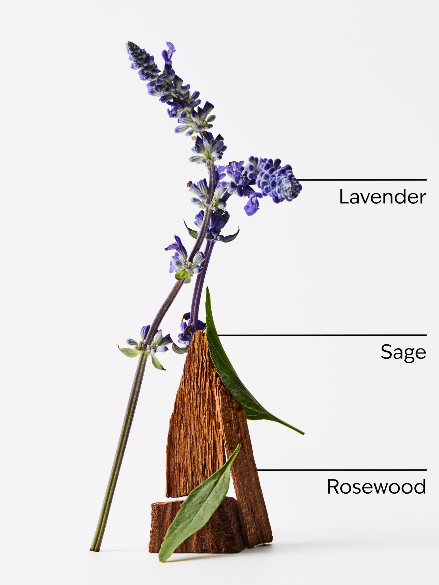 Lavender & Jasmine Room Mist 97ml - Image 2 of 2 Lavender & Jasmine Room Mist 97ml - Image 2 of 2