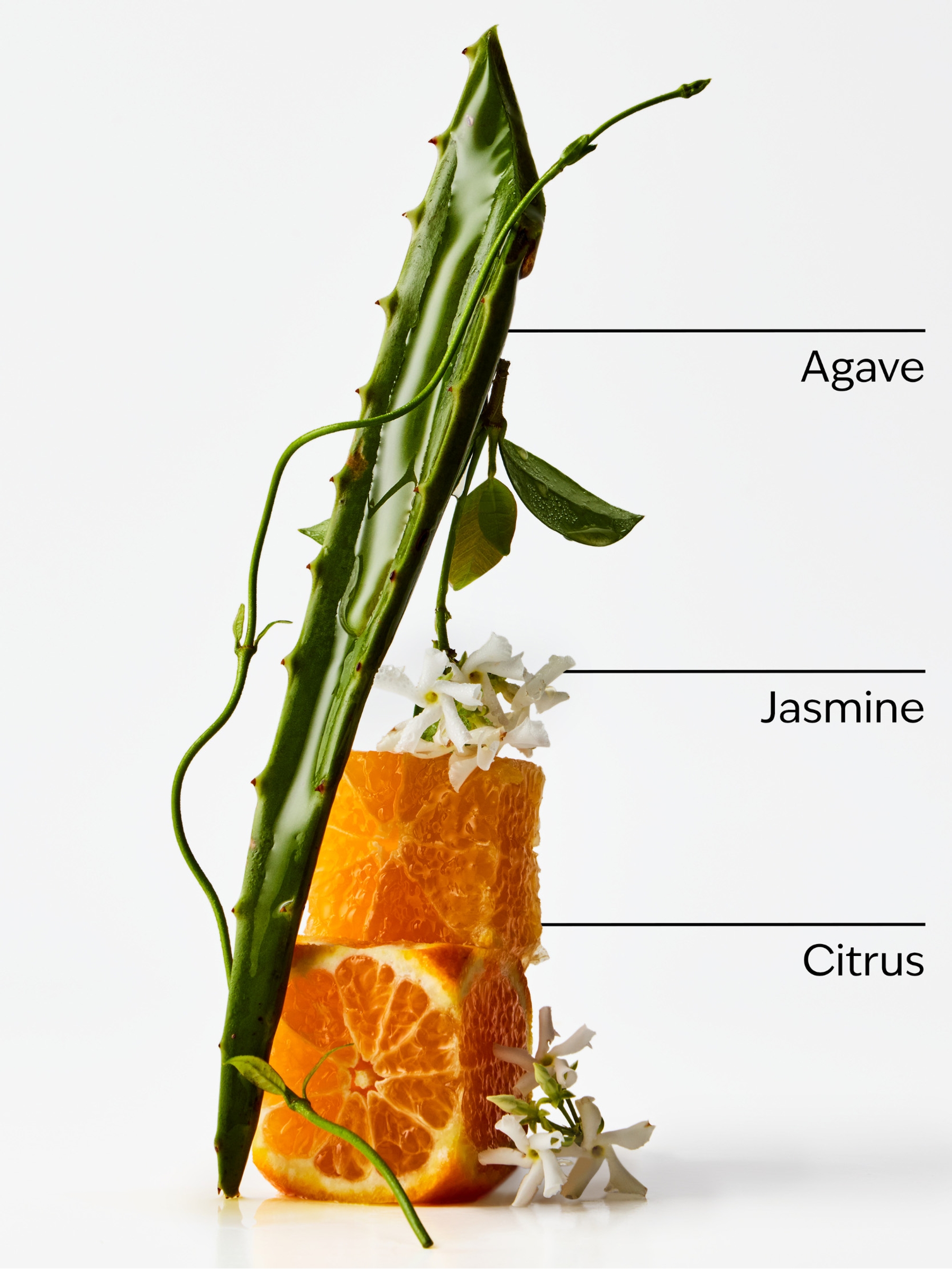 Sweet Orange & Agave Room Mist 97ml - Image 2 of 2 Sweet Orange & Agave Room Mist 97ml - Image 2 of 2
