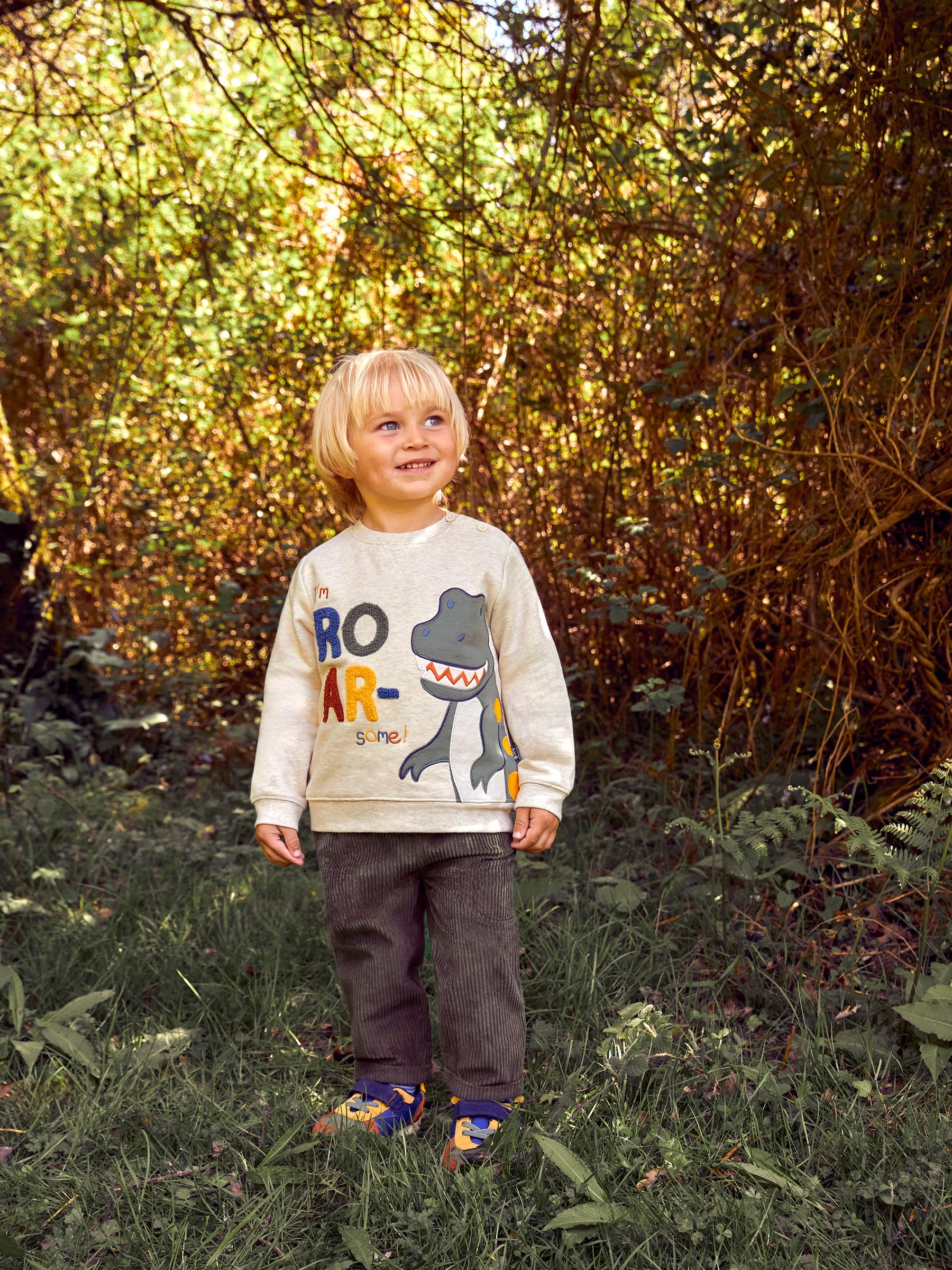 Natural T-Rex Appliqué Sweatshirt - Image 3 of 5