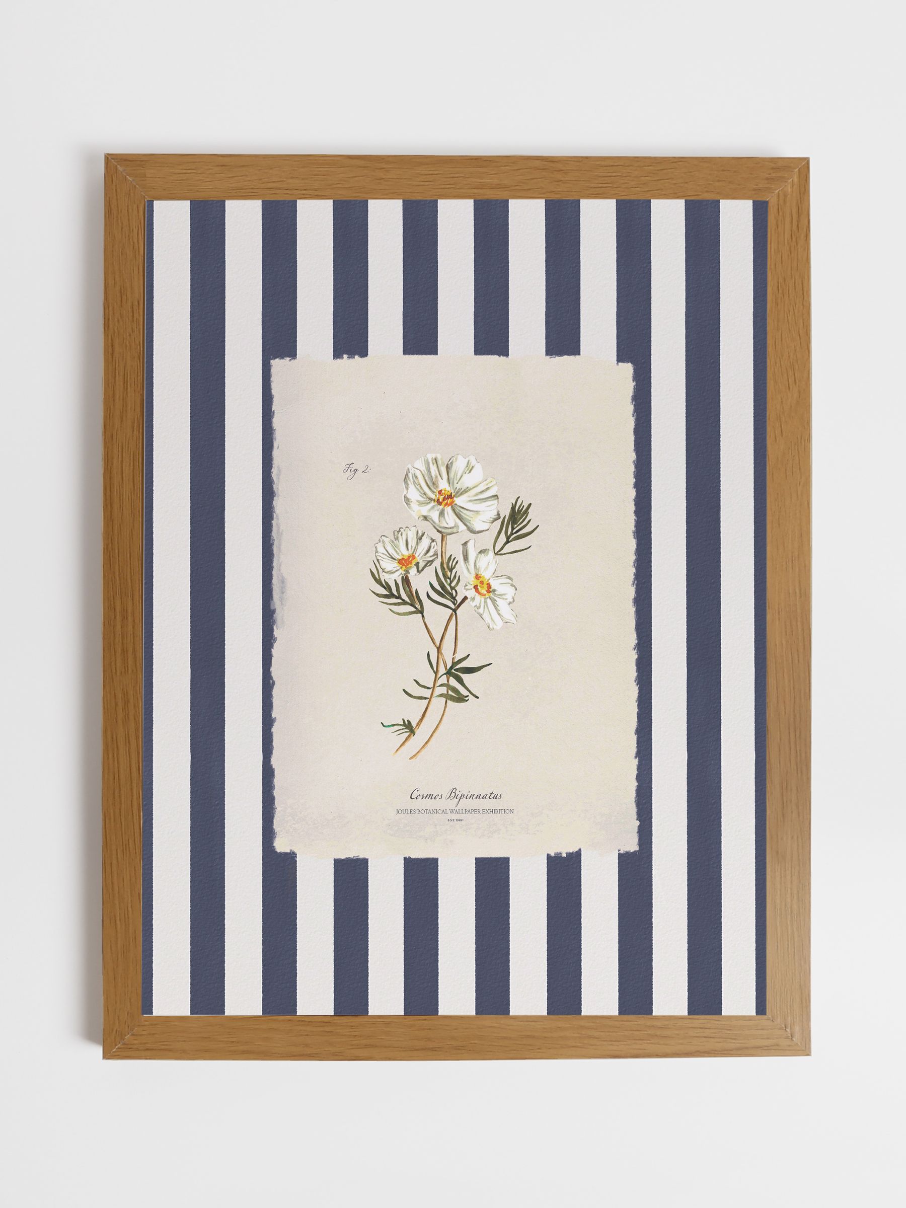 Blue Dancing Cosmos Wood Framed Print Wall 43 x 53cm Art - Image 1 of 4