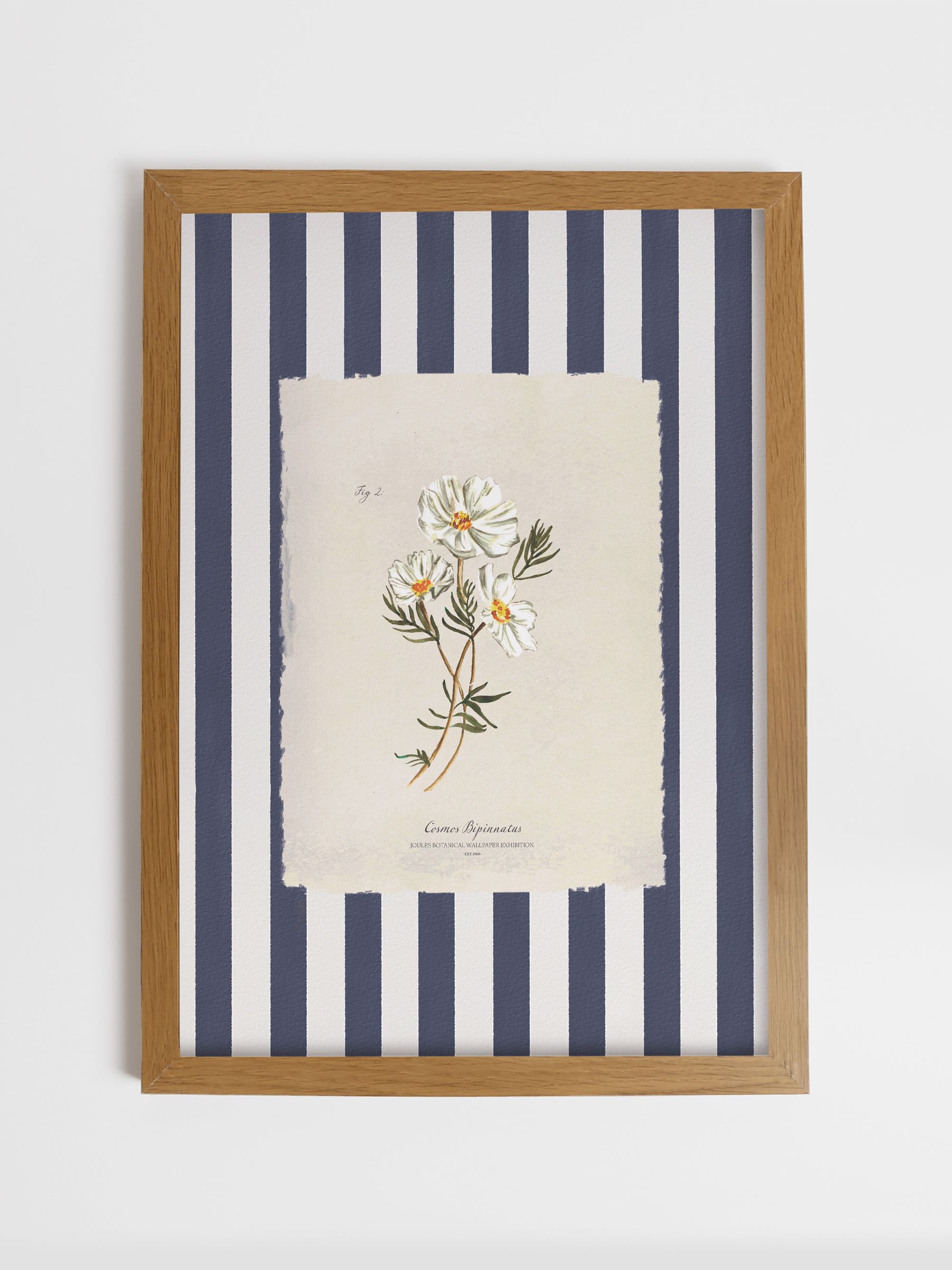Blue Dancing Cosmos Wood Framed Print Wall 53 x 73cm Art - Image 1 of 4