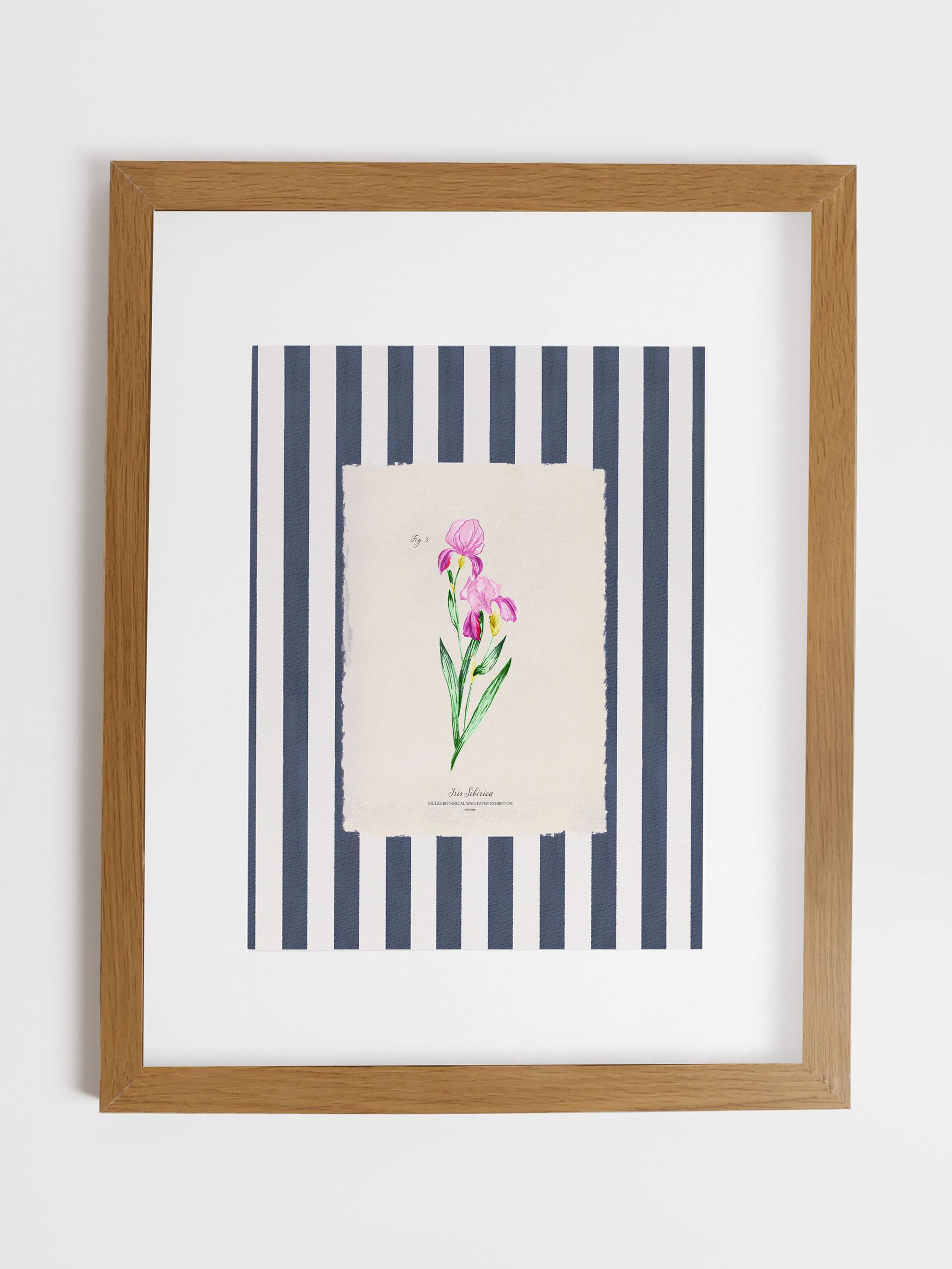 Blue Iris in Bloom Wood Mounted Framed Print Wall 43 x 53cm Art - Image 1 of 4