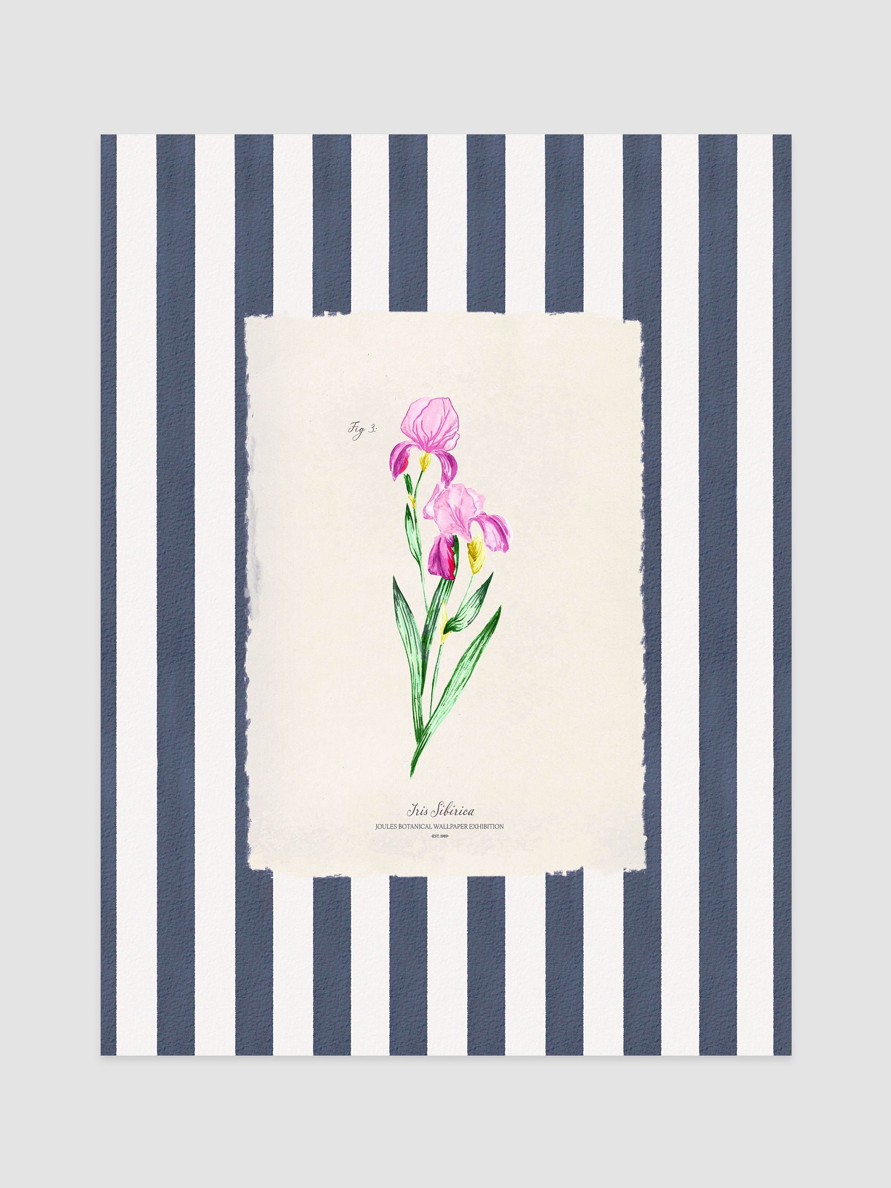 Blue Iris in Bloom Wood Mounted Framed Print Wall 43 x 53cm Art - Image 2 of 4