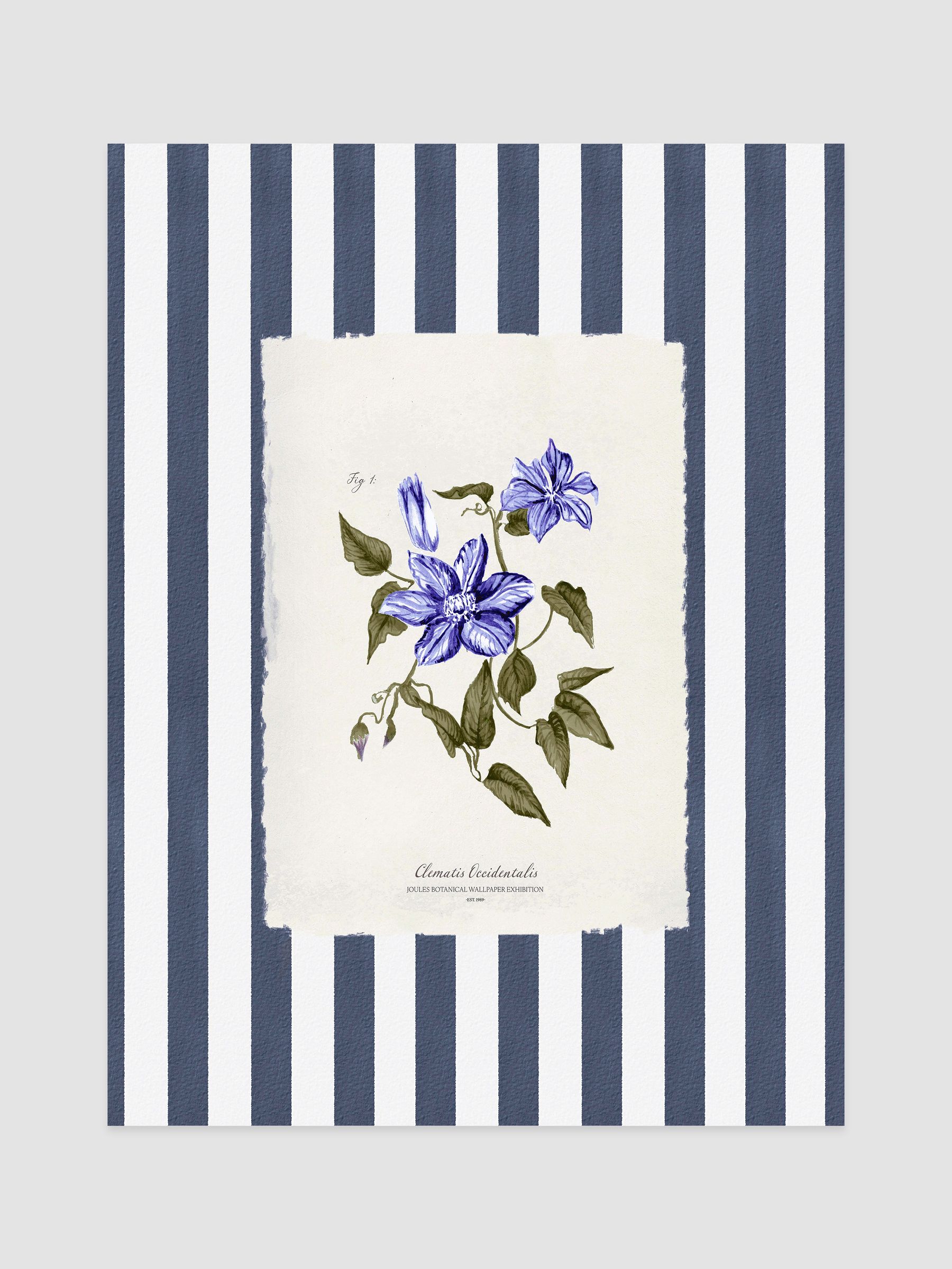 Blue Clematis Climber Wood Framed Print Wall 43 x 53cm Art - Image 2 of 4