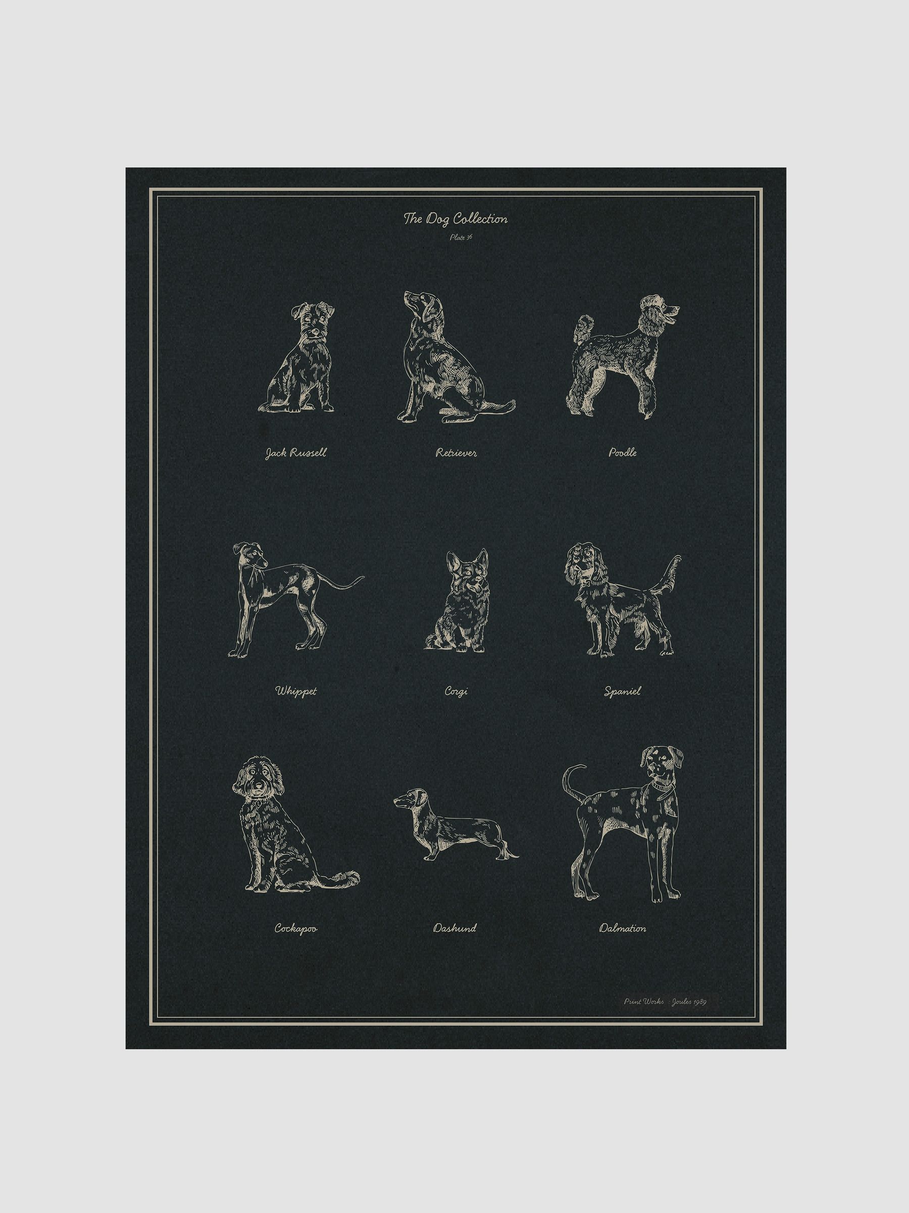 Blue The Best in Show Wood Framed Print Wall Art - Image 1 of 4 Blue The Best in Show Wood Framed Print Wall Art - Image 1 of 4