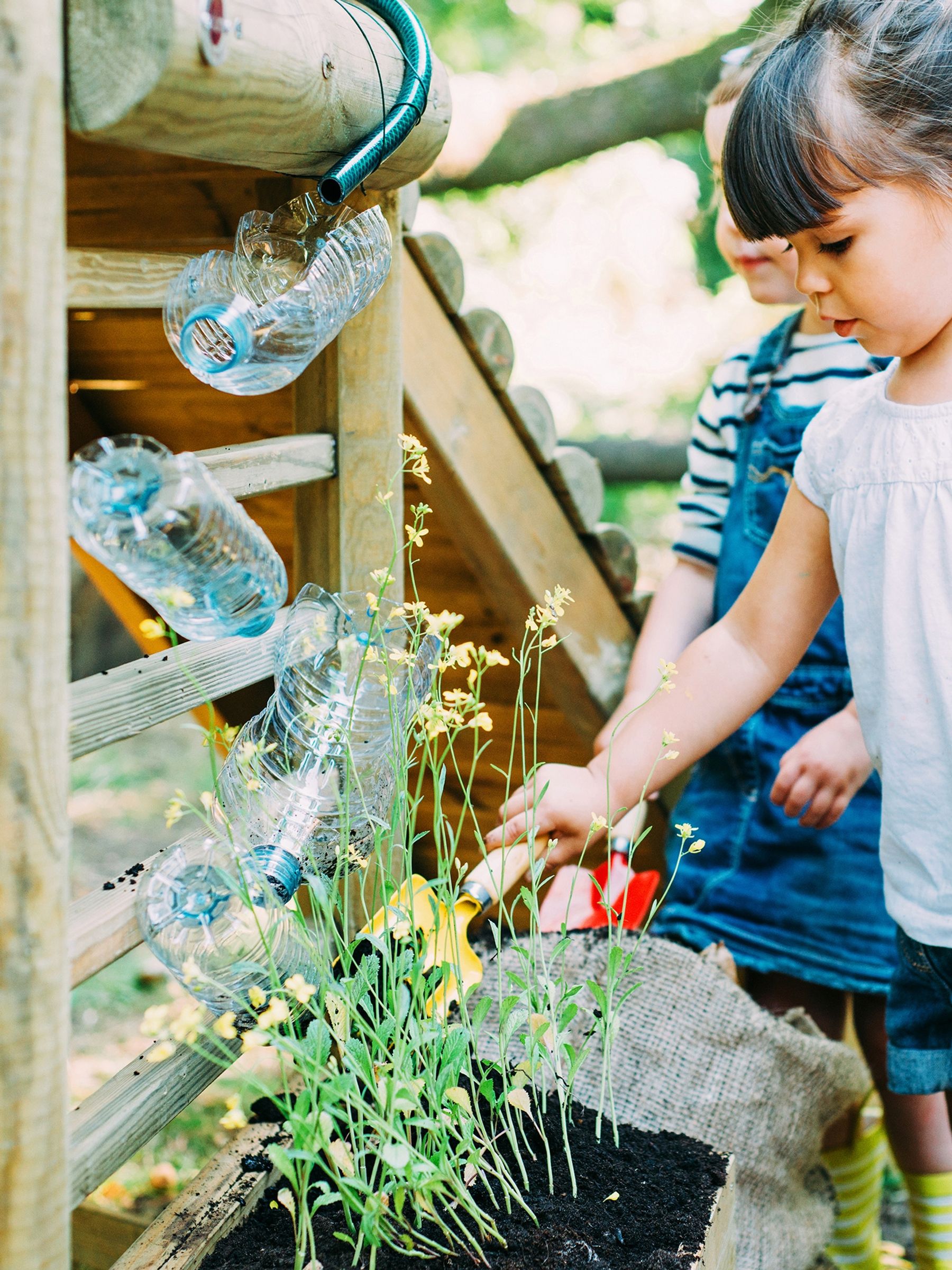 Plum Discovery Woodland Treehouse - Image 4 of 12