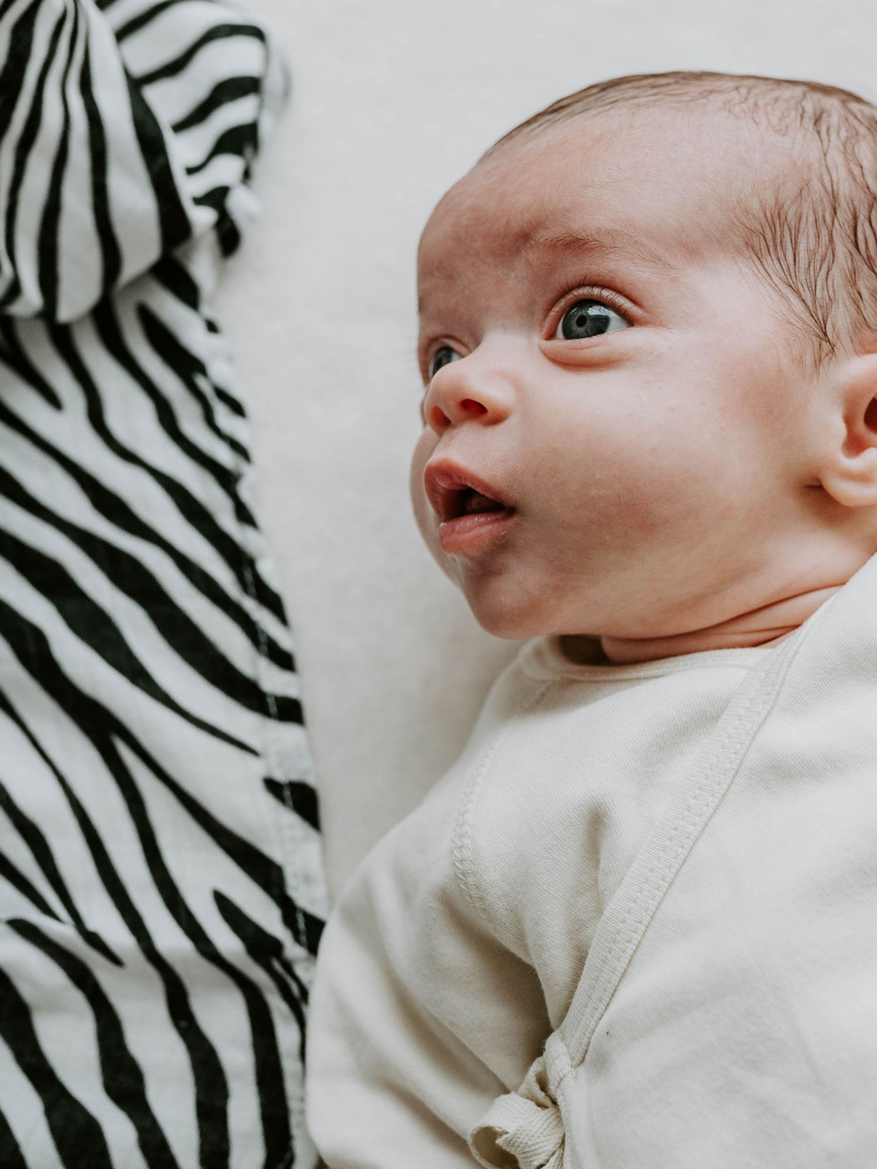 3-Pack Animal Print Sensory Muslins - Image 3 of 4