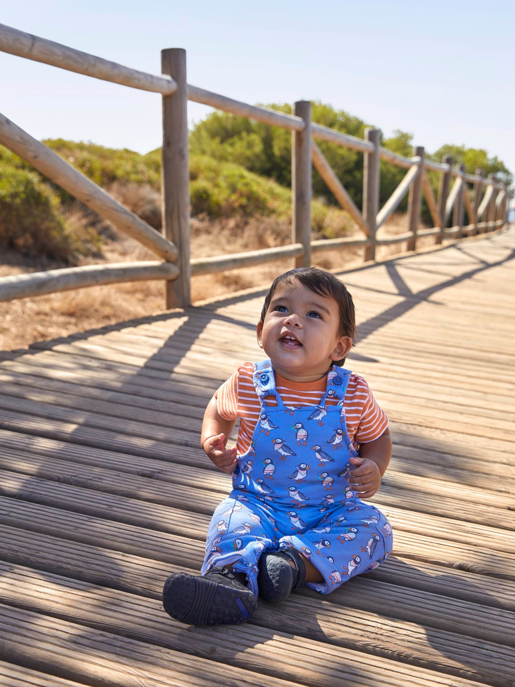 Cornflower 2-Piece Puffin Print Dungarees & Top Set - Image 1 of 6