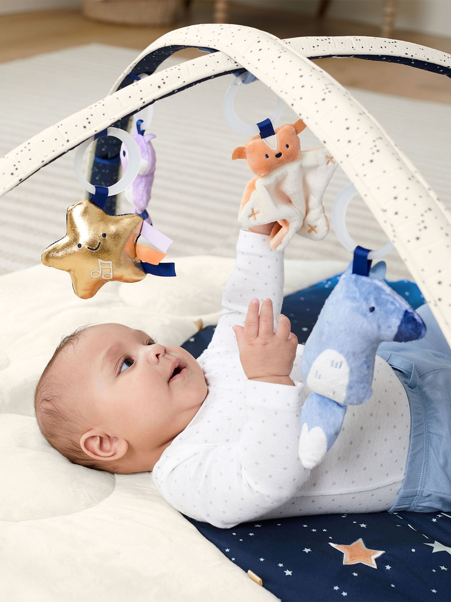 Skip Hop Celestial Dreams Activity Gym - Image 1 of 11
