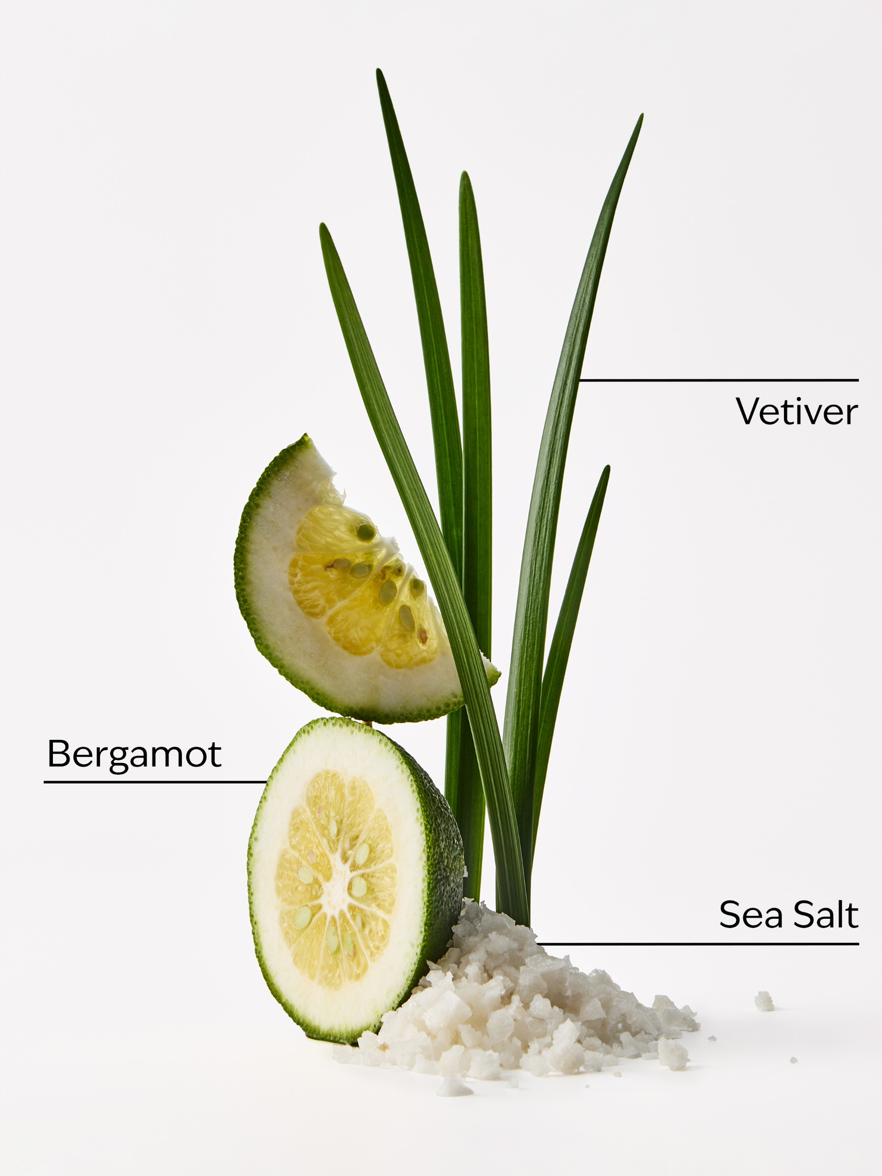 Sea Salt & Musk Infused Reeds - Image 3 of 3 Sea Salt & Musk Infused Reeds - Image 3 of 3