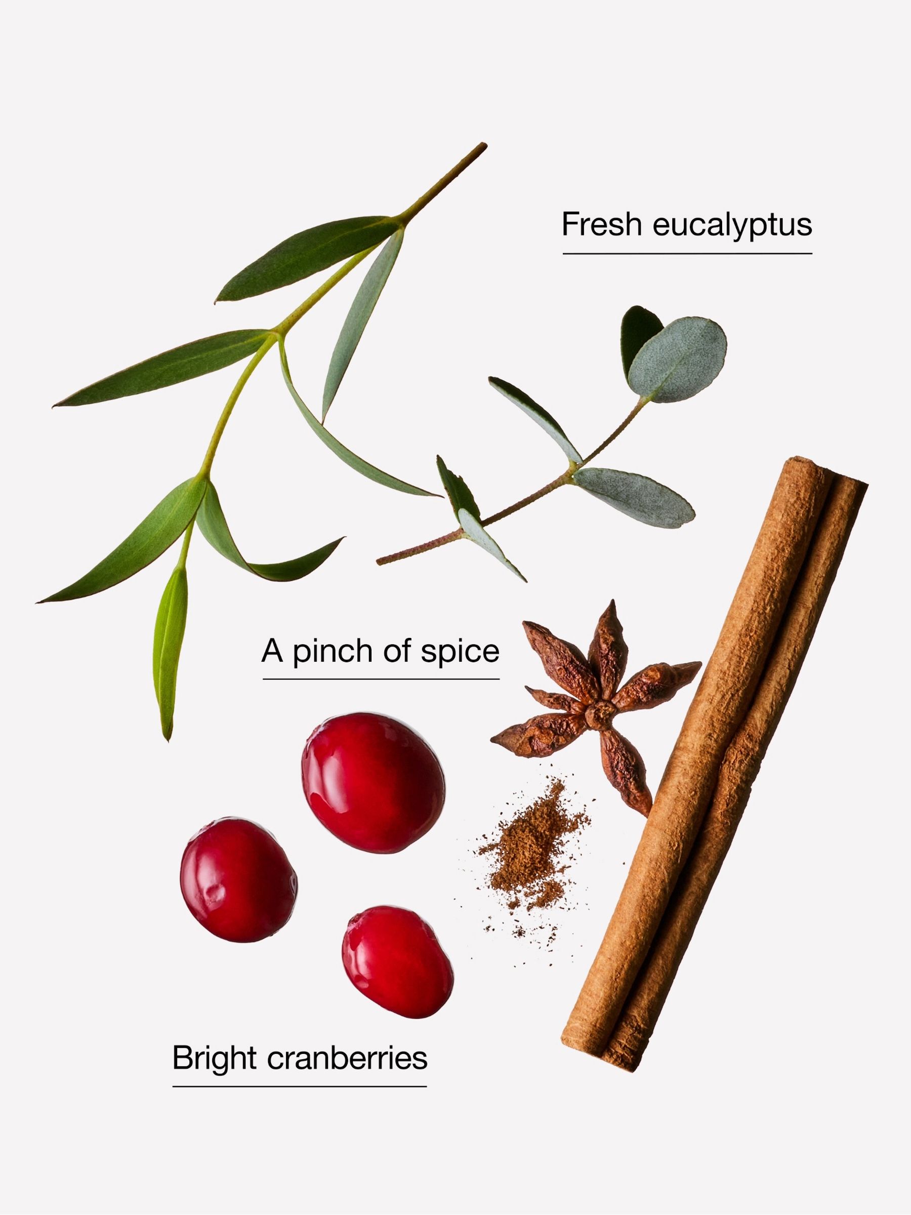 Cranberry & Eucalyptus 3-Wick Candle 411g - Image 2 of 2