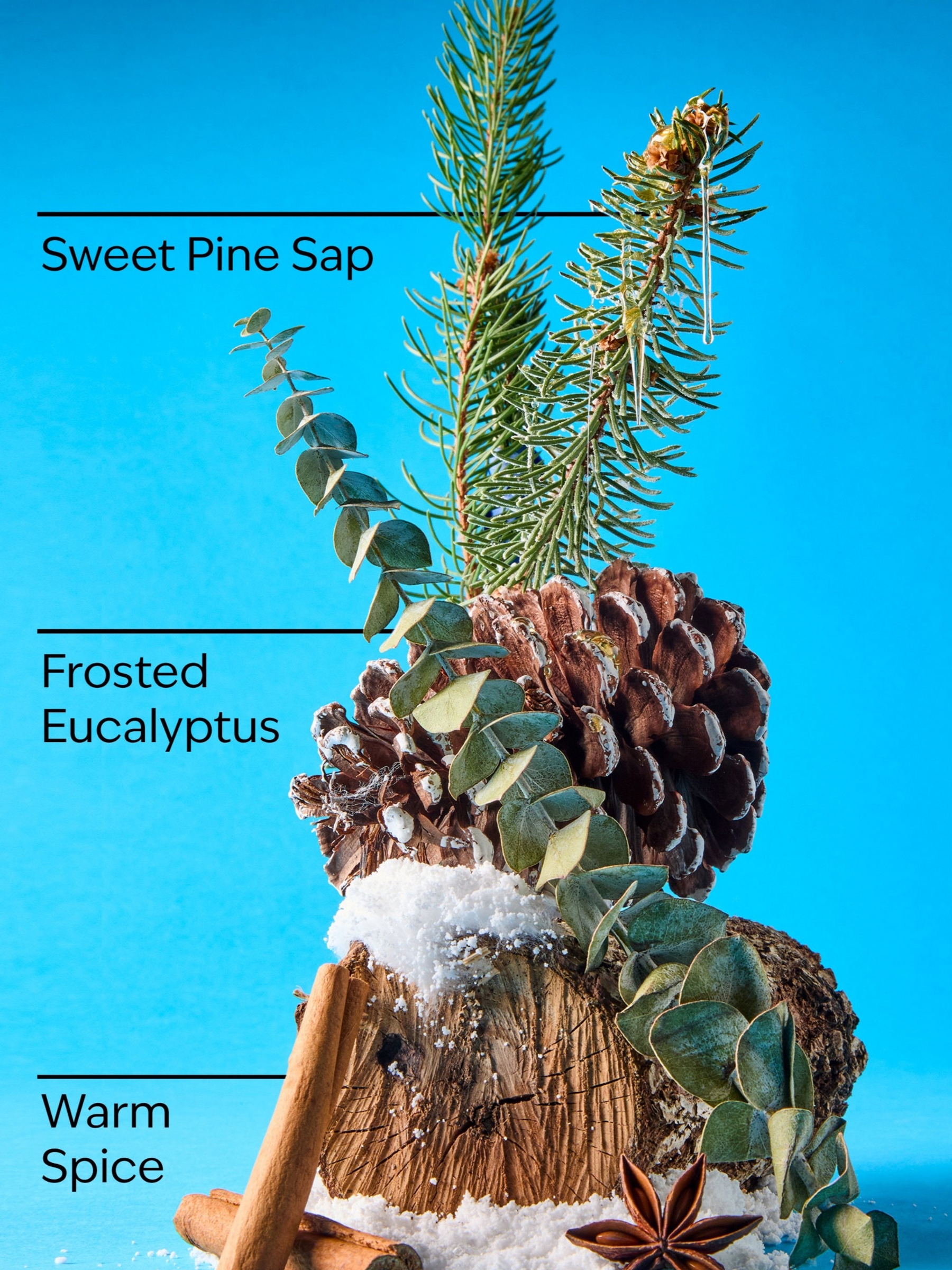 Sugared Pine Needles 3-Wick Candle 411g - Image 2 of 2