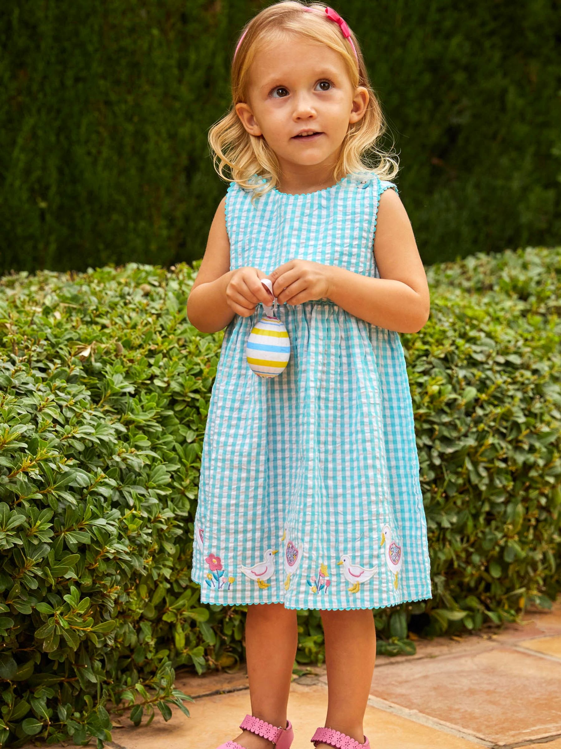 Duck Egg Gingham Duck Appliqué Dress - Image 1 of 5