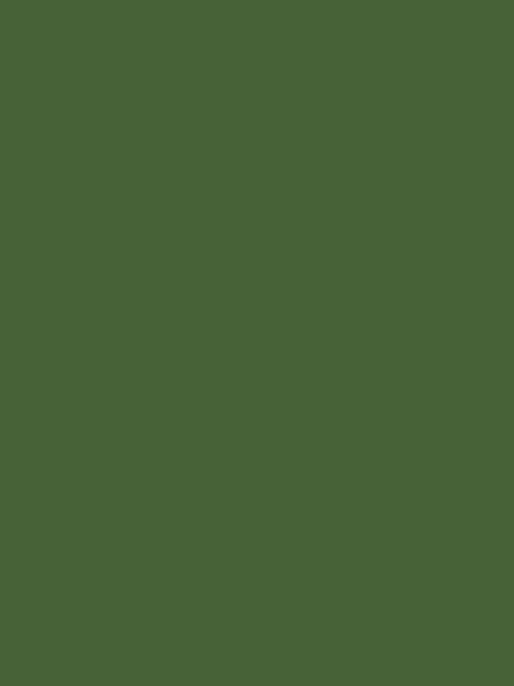 Green Multi Surface Matt Emulsion - Image 2 of 4
