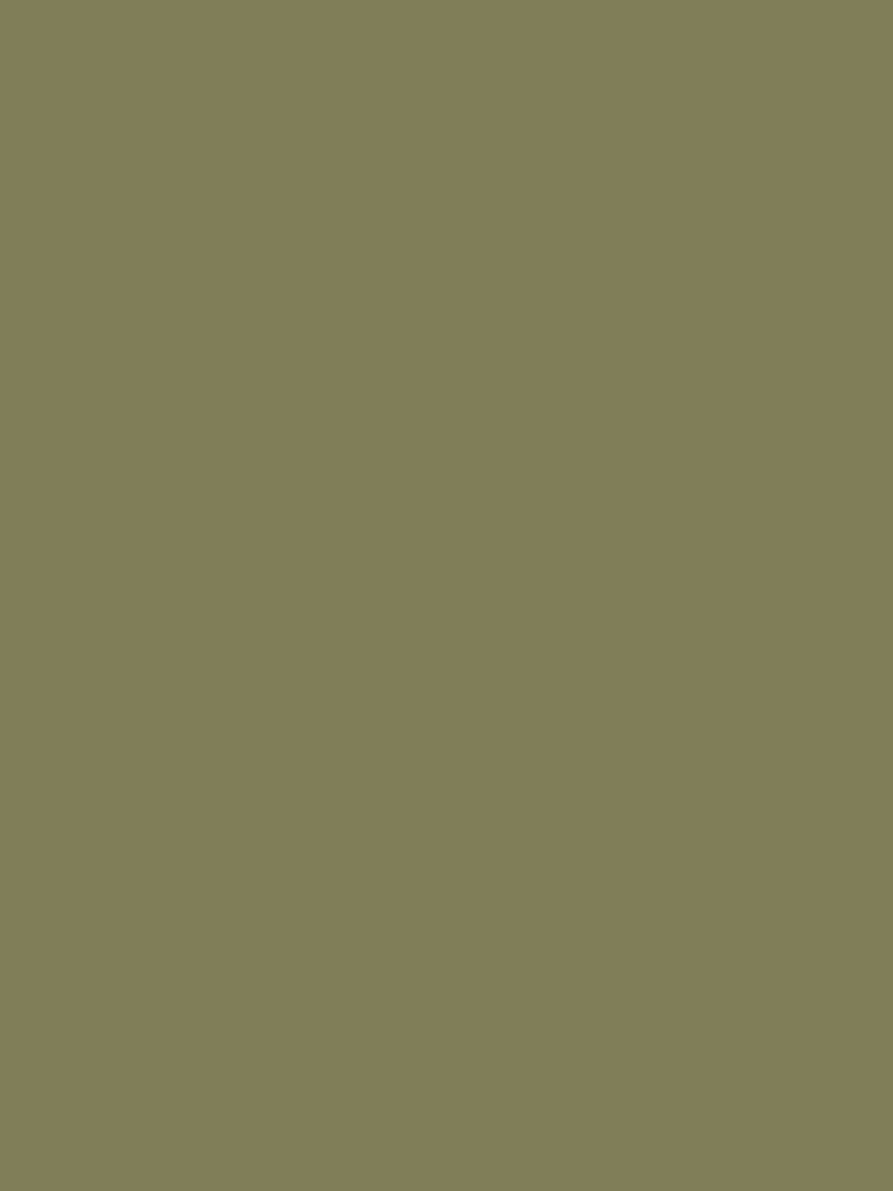 Green Multi Surface Matt Emulsion - Image 2 of 4
