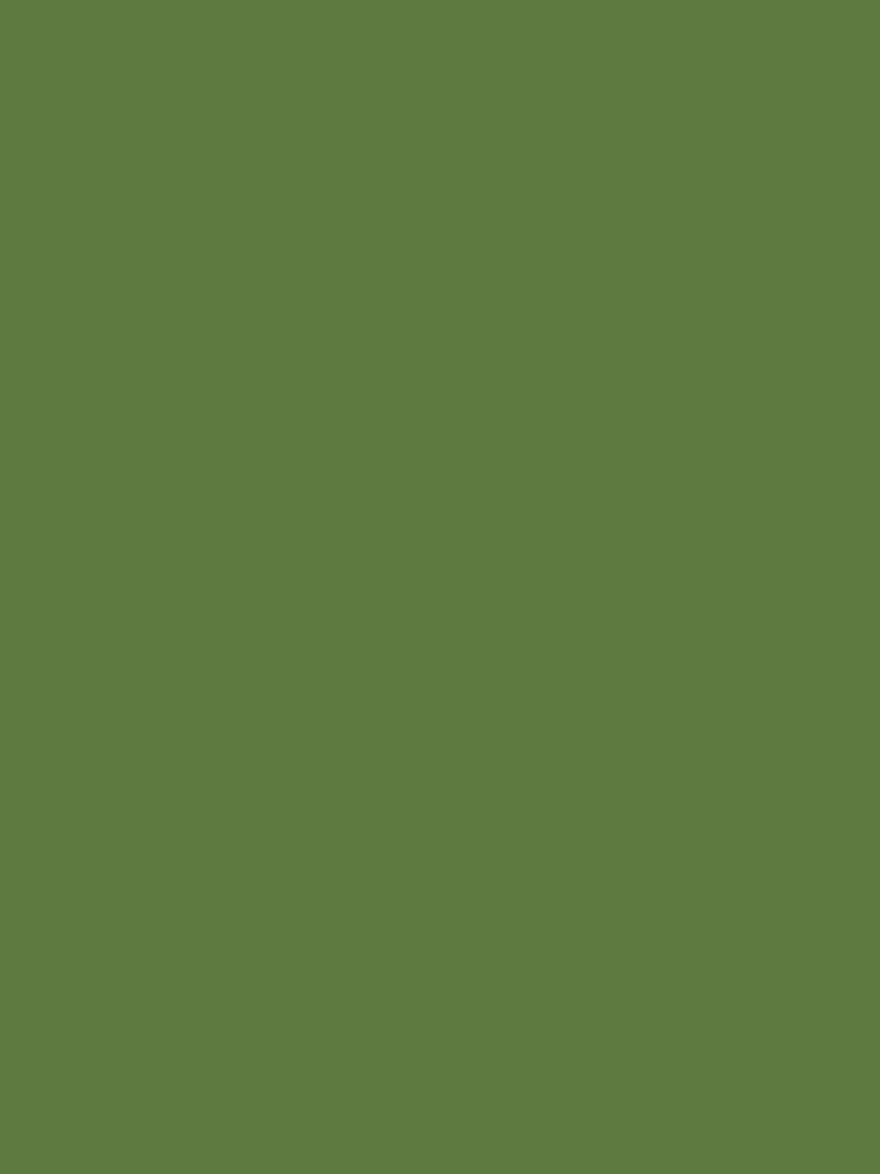 Green Multi Surface Matt Emulsion - Image 2 of 4