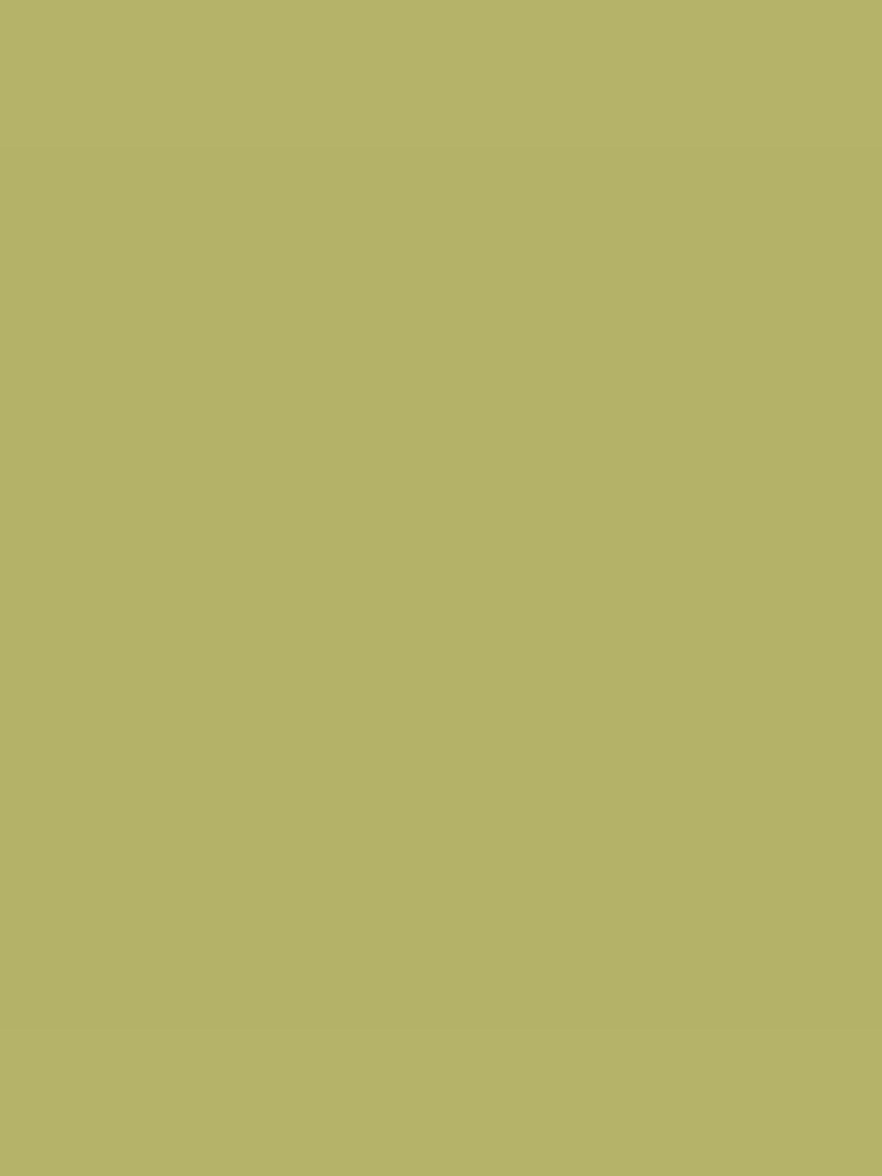 Green Multi Surface Matt Emulsion 2.5L Paint - Image 2 of 4