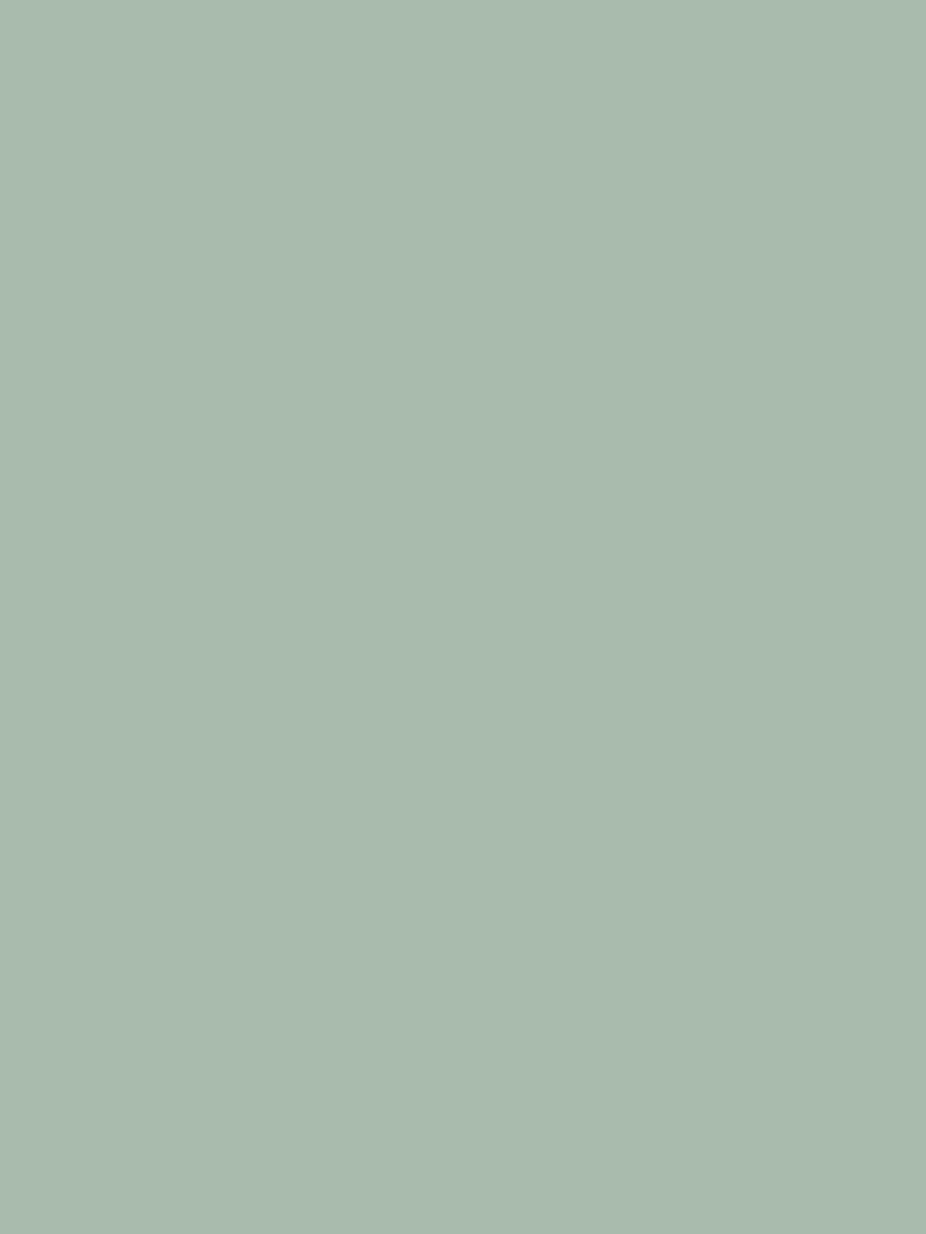Village Store Green Multi Surface Matt Emulsion 2.5L Paint - Image 2 of 4