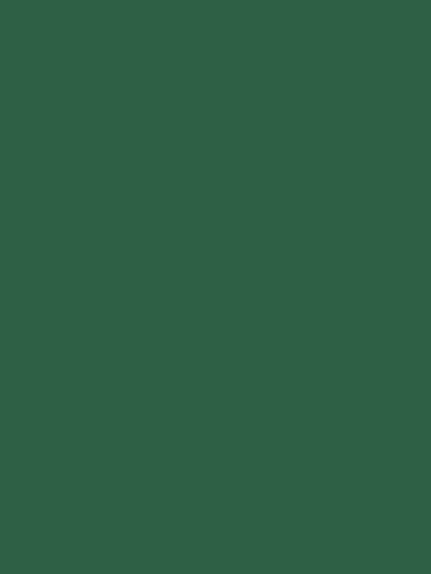 Green Multi Surface Matt Emulsion Paint - Image 2 of 4