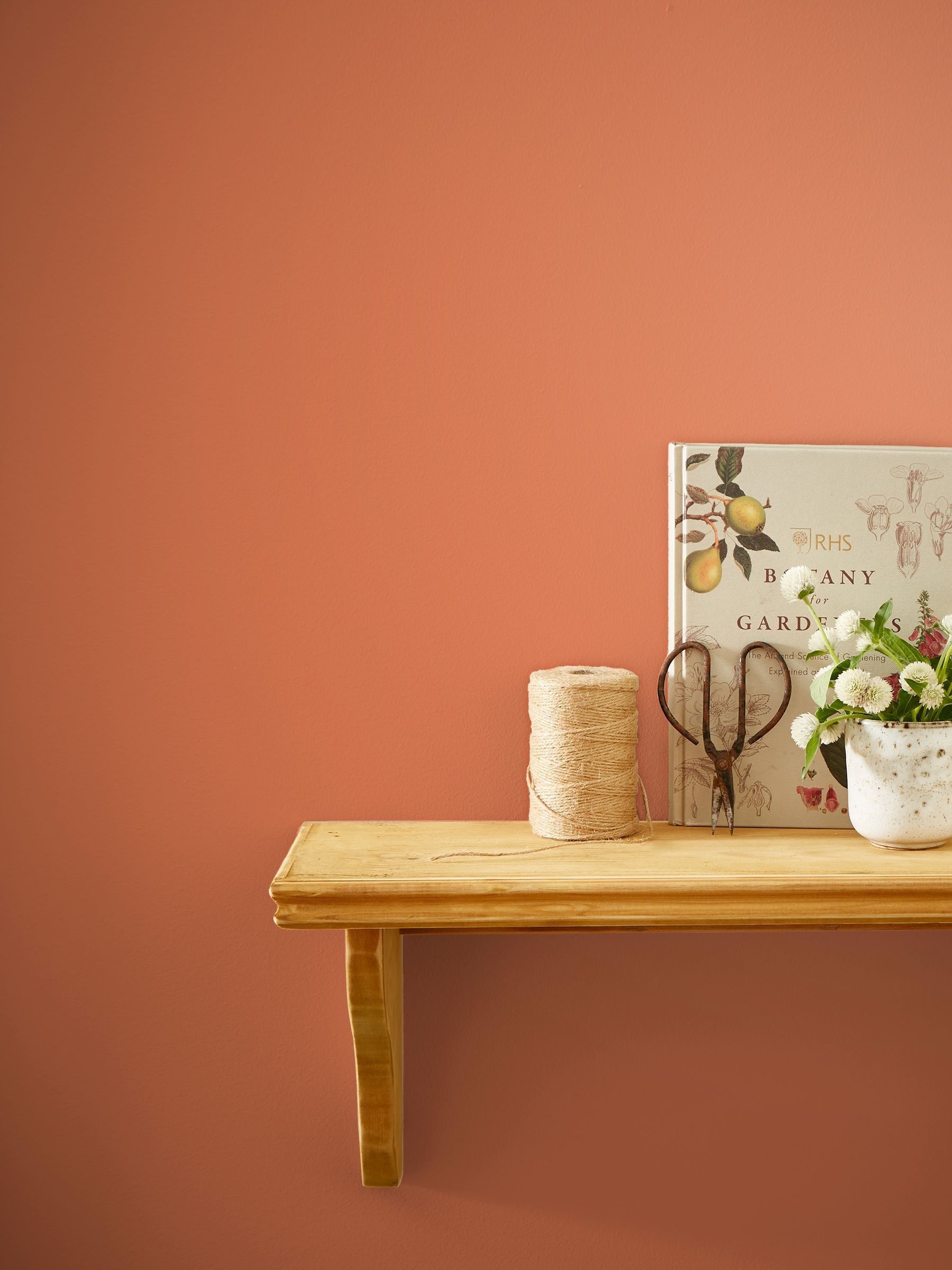 Potting Shed Orange Multi Surface Matt Emulsion 2.5L Paint - Image 1 of 4