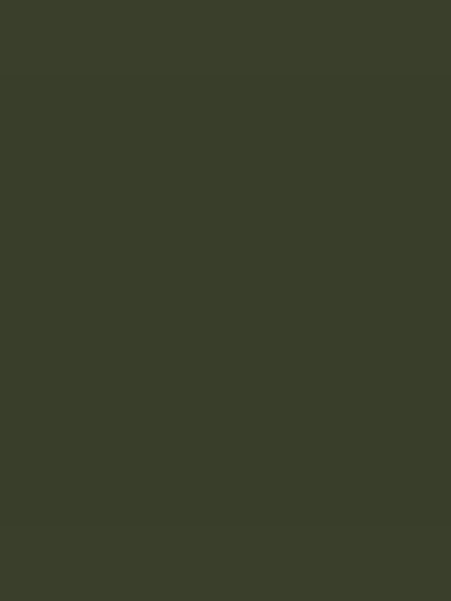 Green Multi Surface Matt Emulsion 2.5L Paint - Image 2 of 4