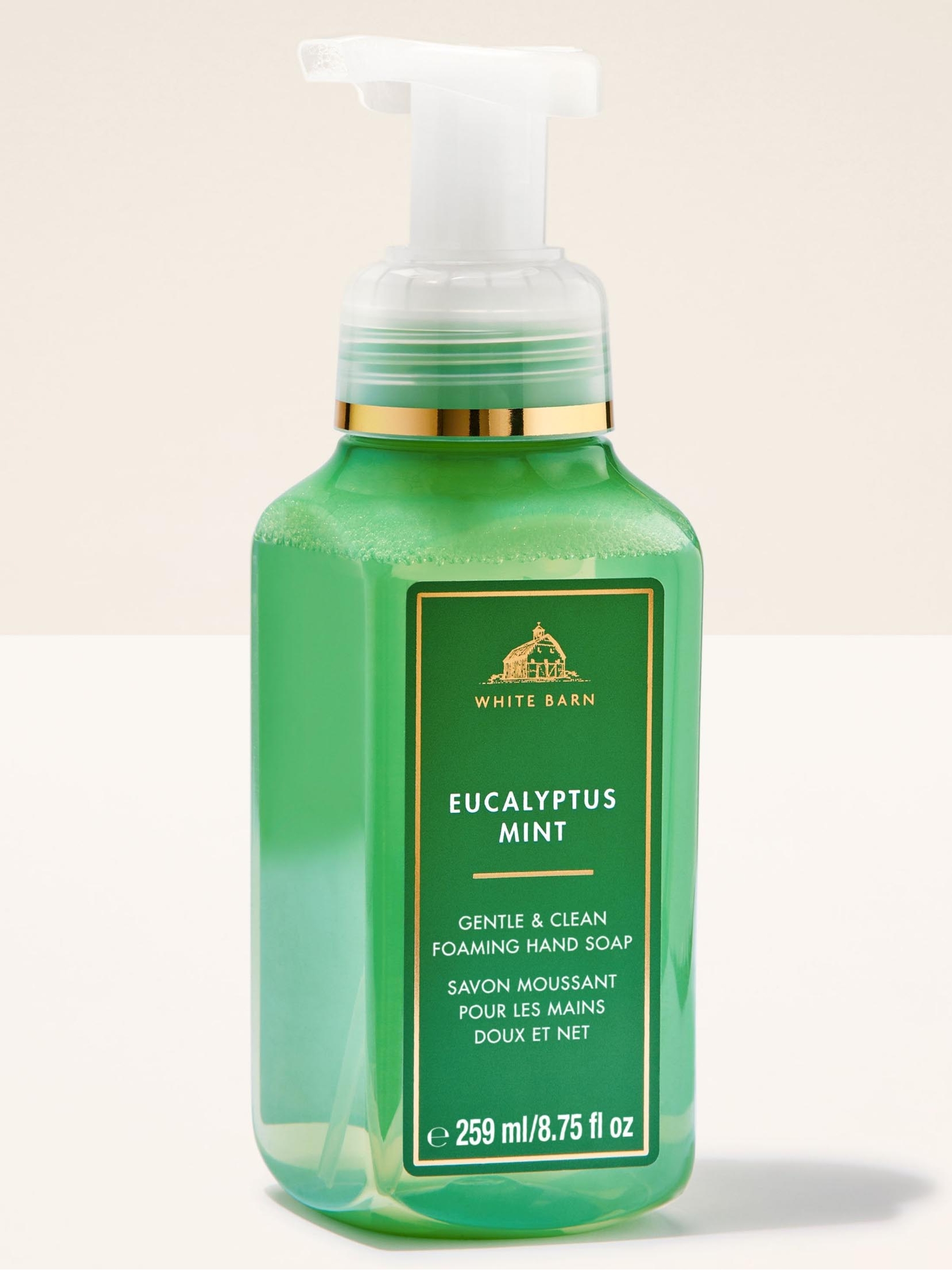 Eucalyptus Mint Gentle & Clean Foaming Hand Soap 259ml - Image 1 of 1