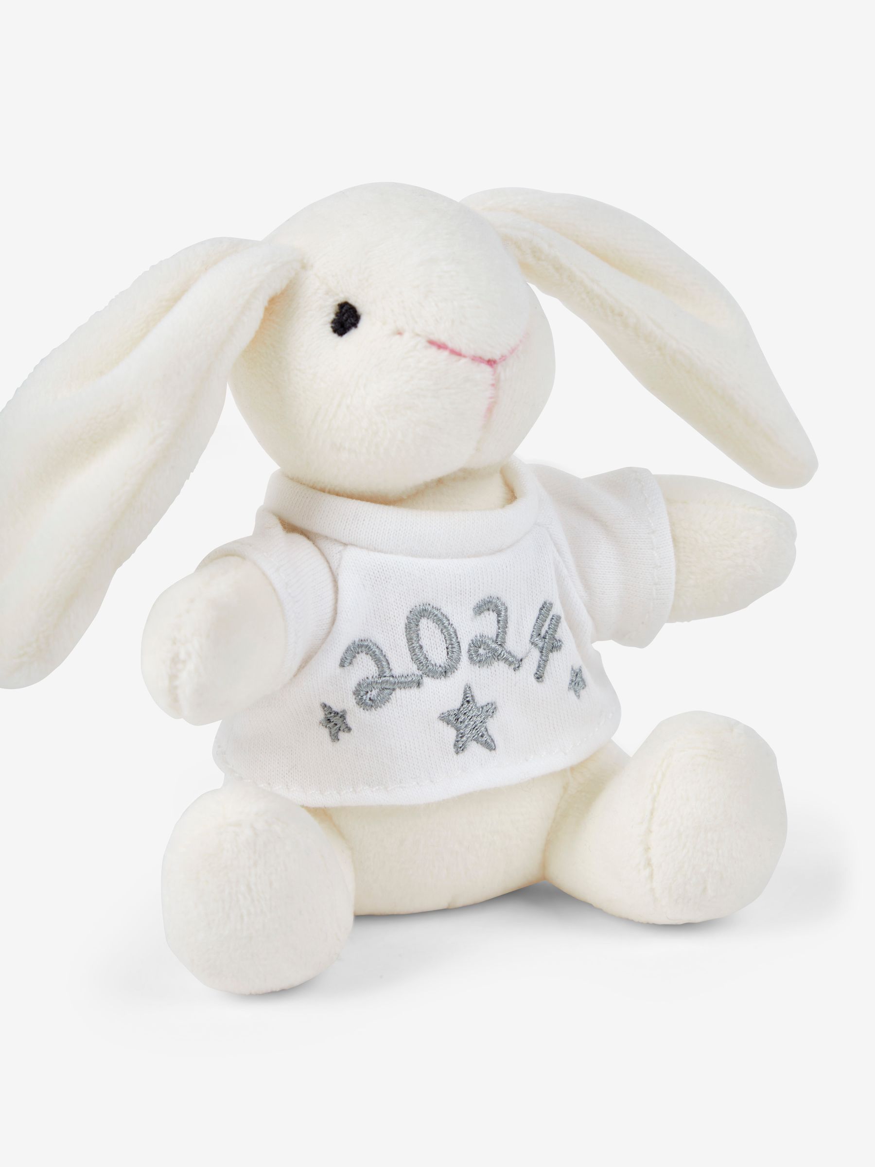 Born in 2024 JoJo Bunny - Image 2 of 2